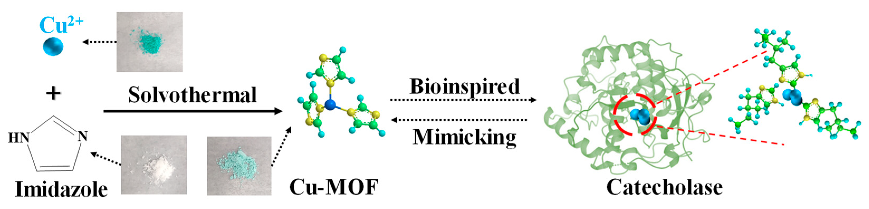 Chemosensors 11 00431 sch001 Chemosensors 11 00431 sch001