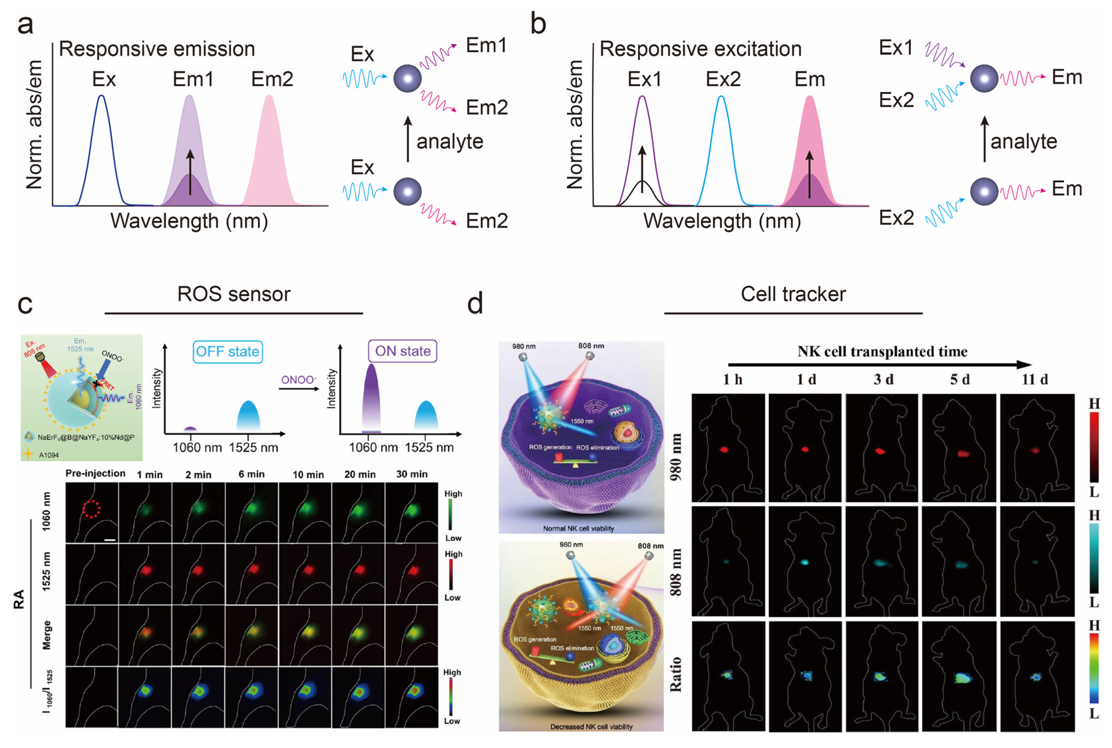 Chemosensors 11 00433 g003