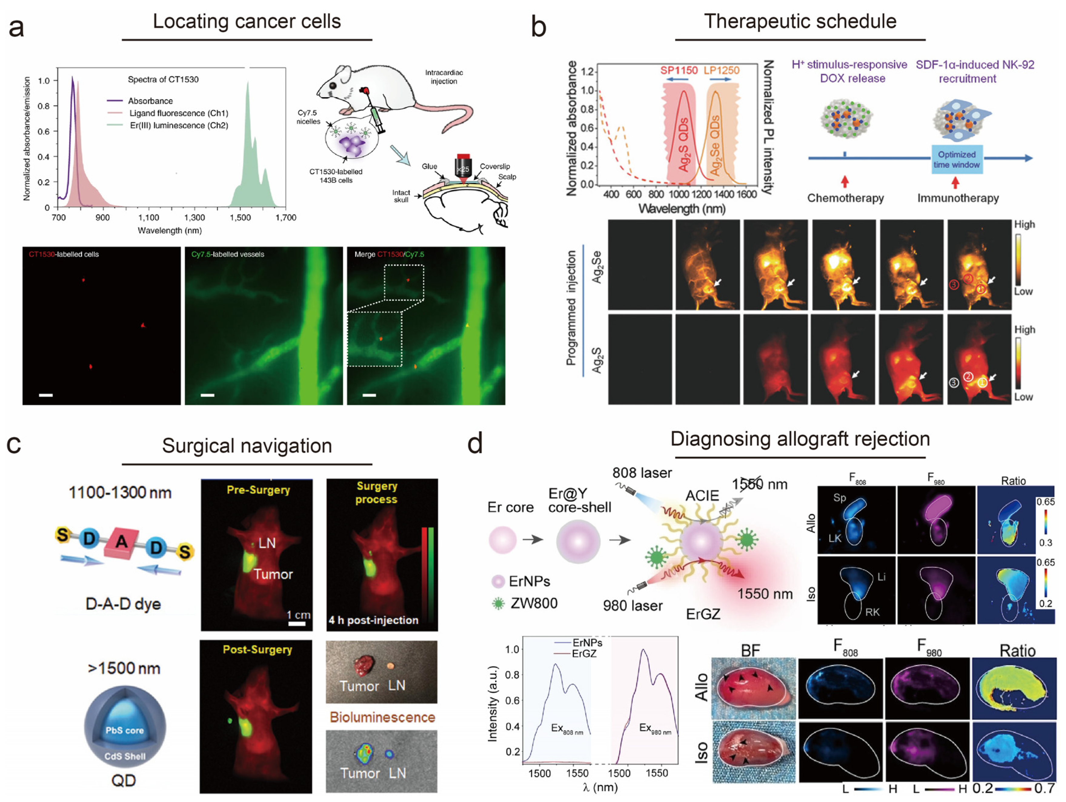Chemosensors 11 00433 g004