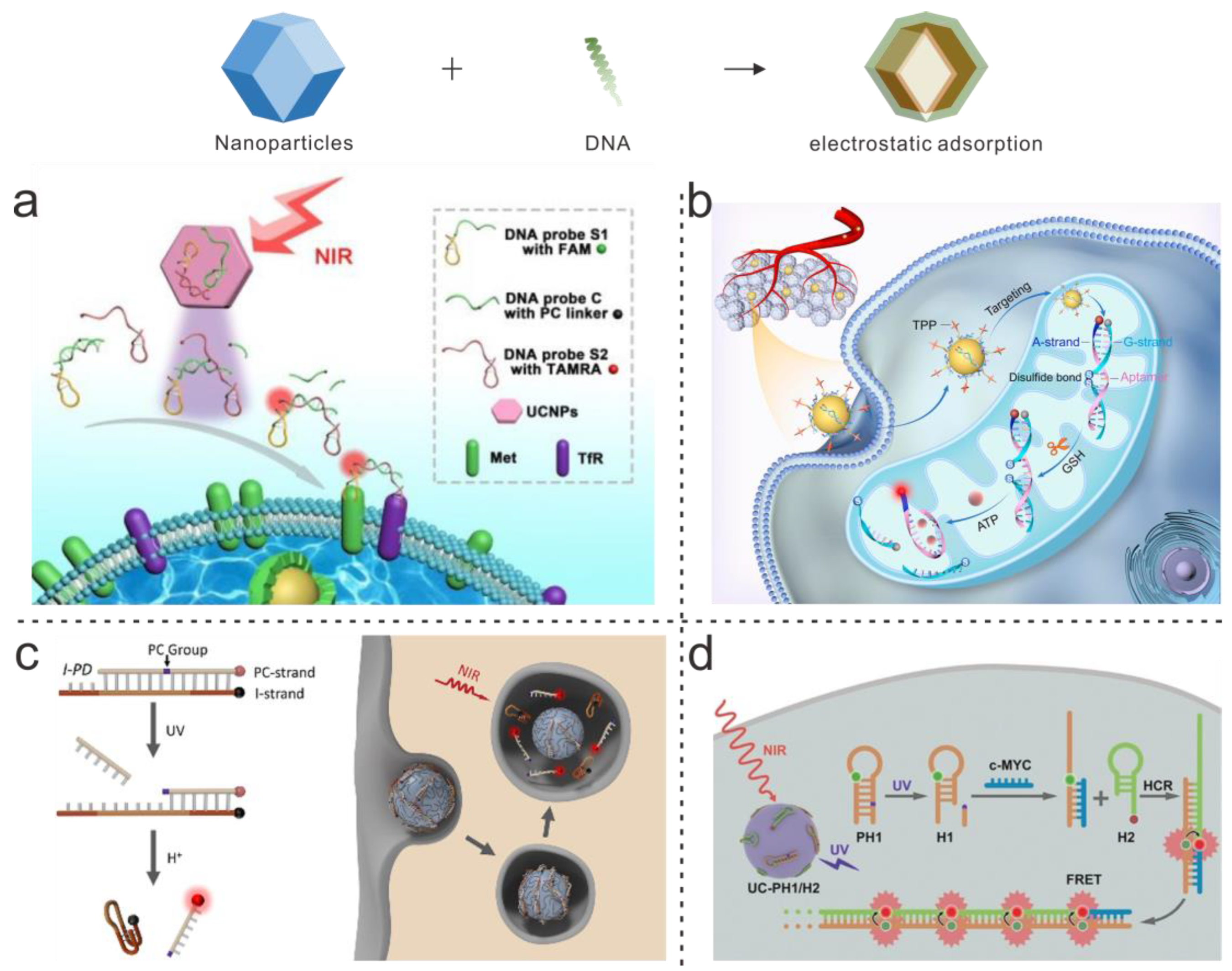 Chemosensors 11 00444 g003 Chemosensors 11 00444 g003