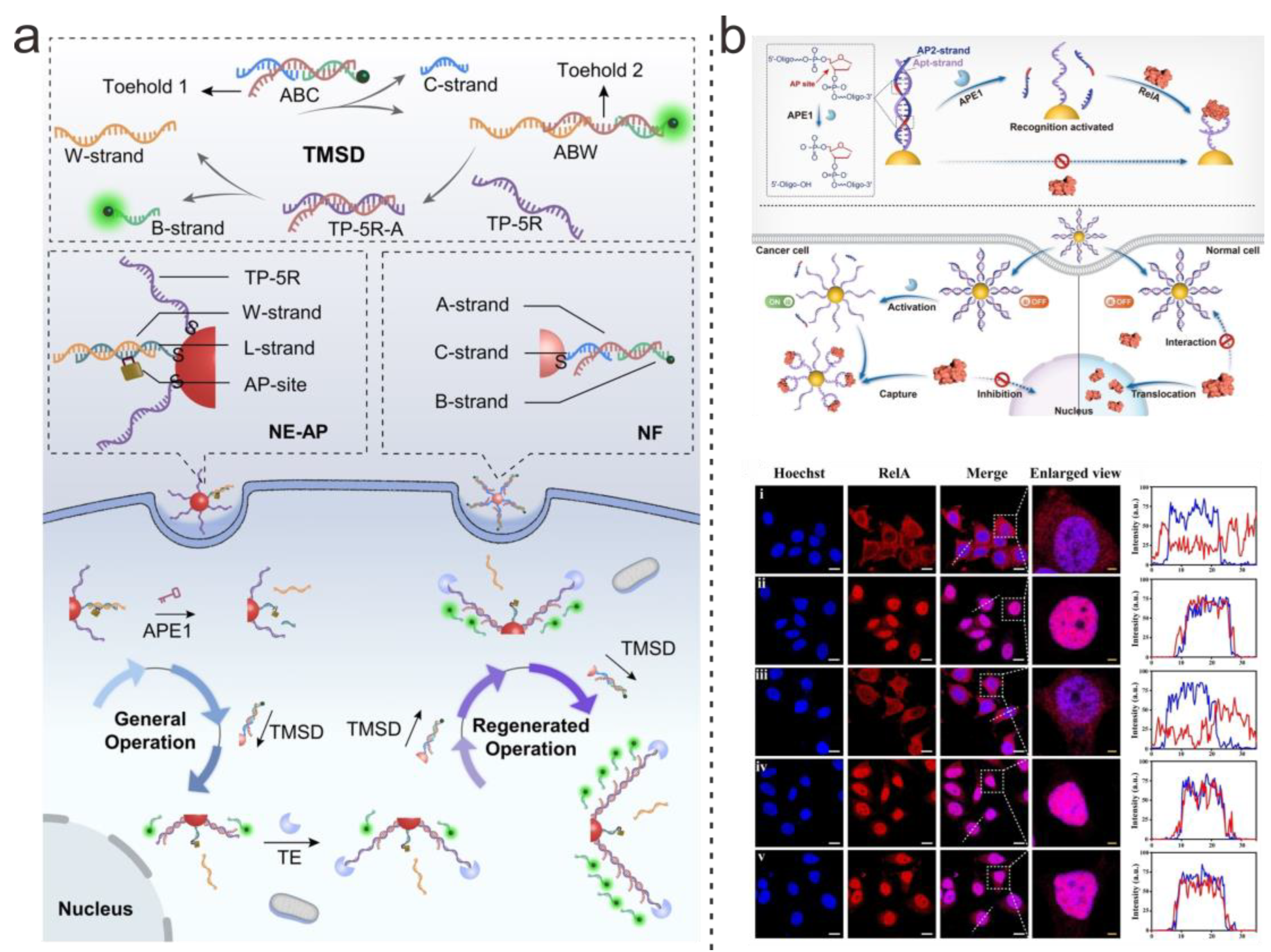 Chemosensors 11 00444 g005 Chemosensors 11 00444 g005