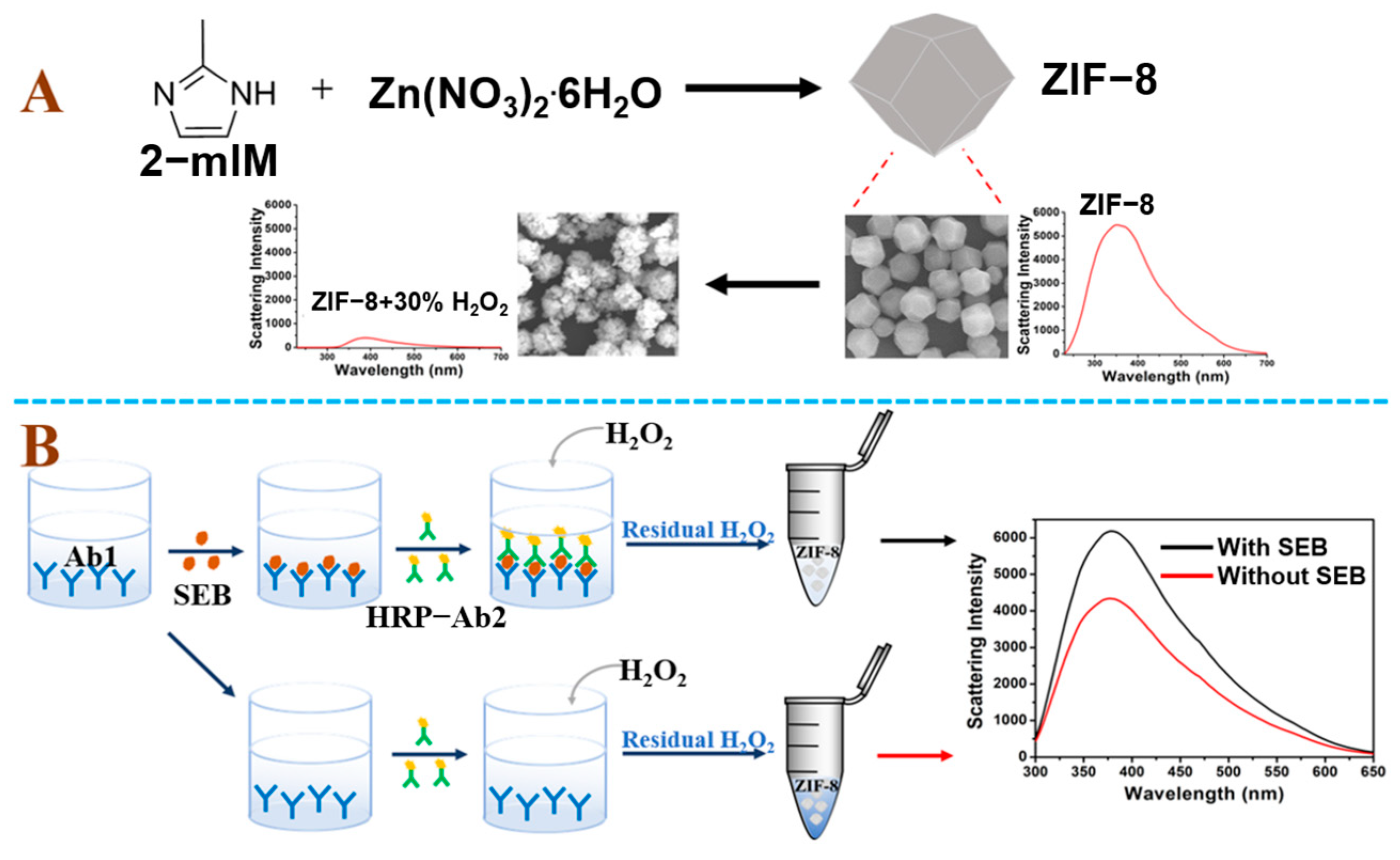 Chemosensors 11 00453 g001 Chemosensors 11 00453 g001