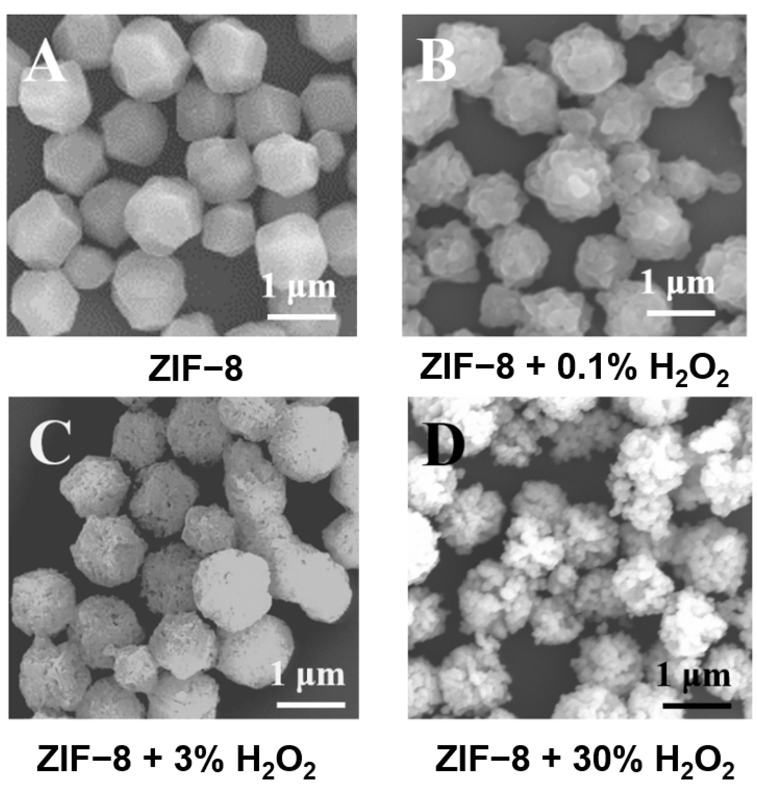 Chemosensors 11 00453 g003 Chemosensors 11 00453 g003