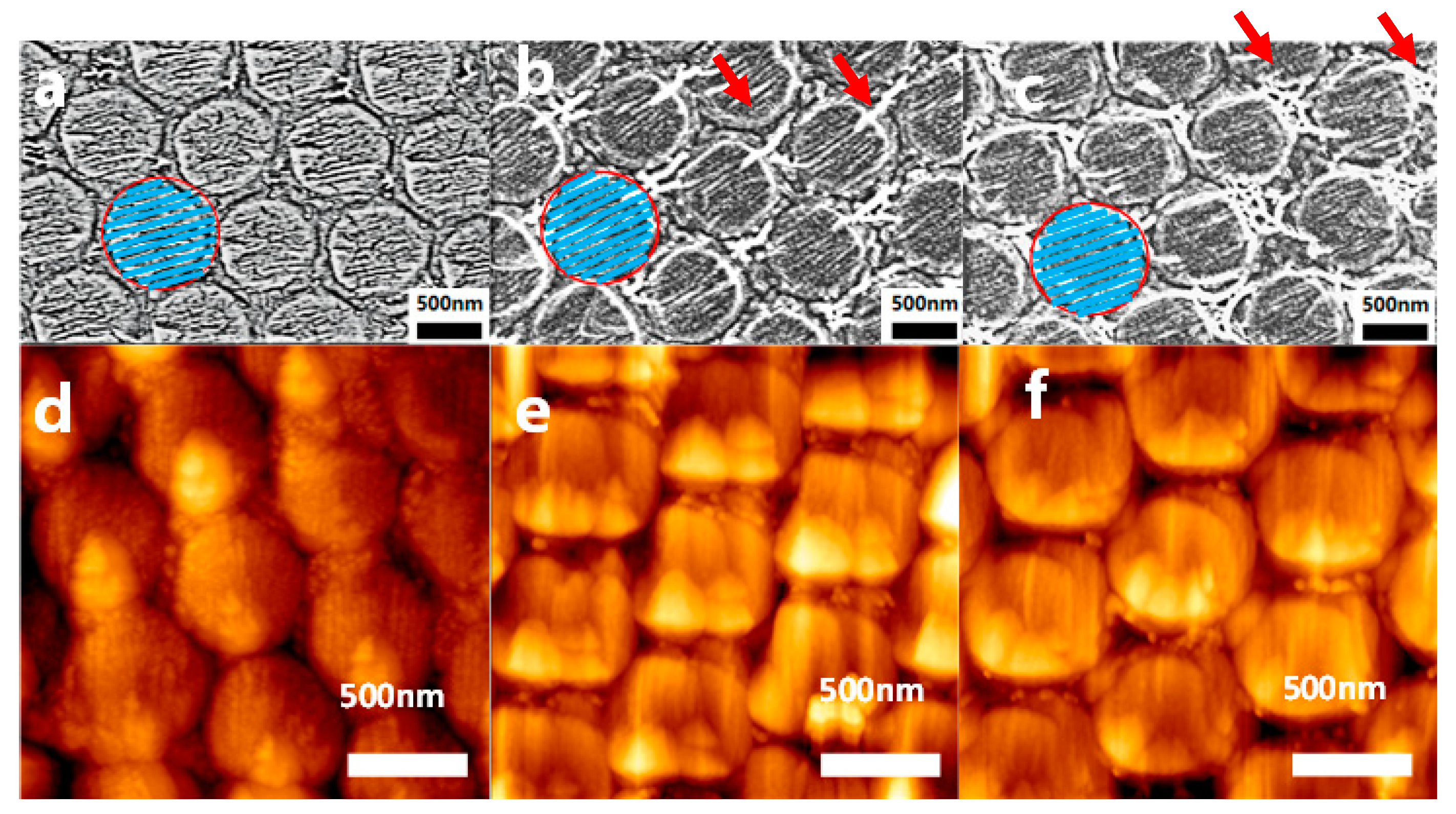 Chemosensors 11 00462 g003