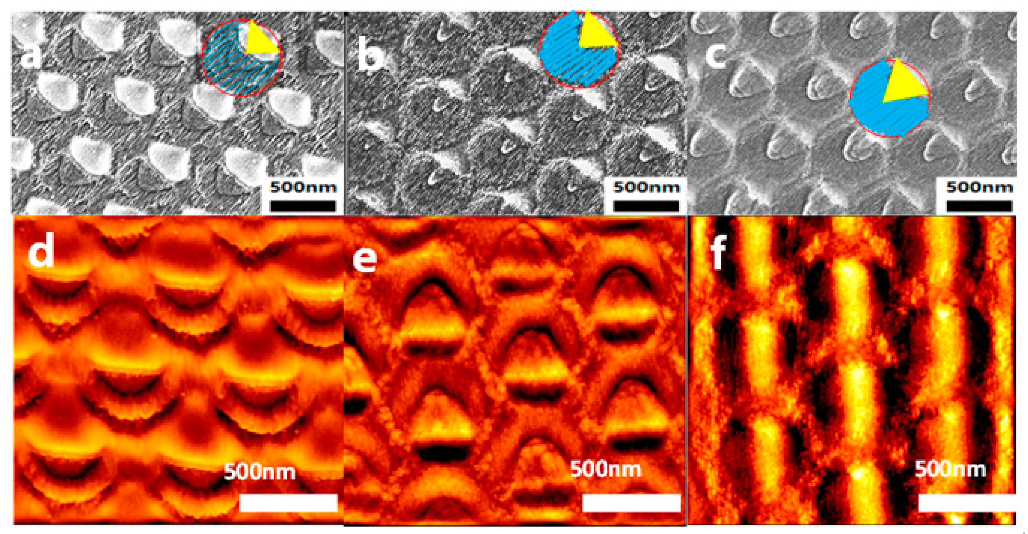 Chemosensors 11 00462 g004