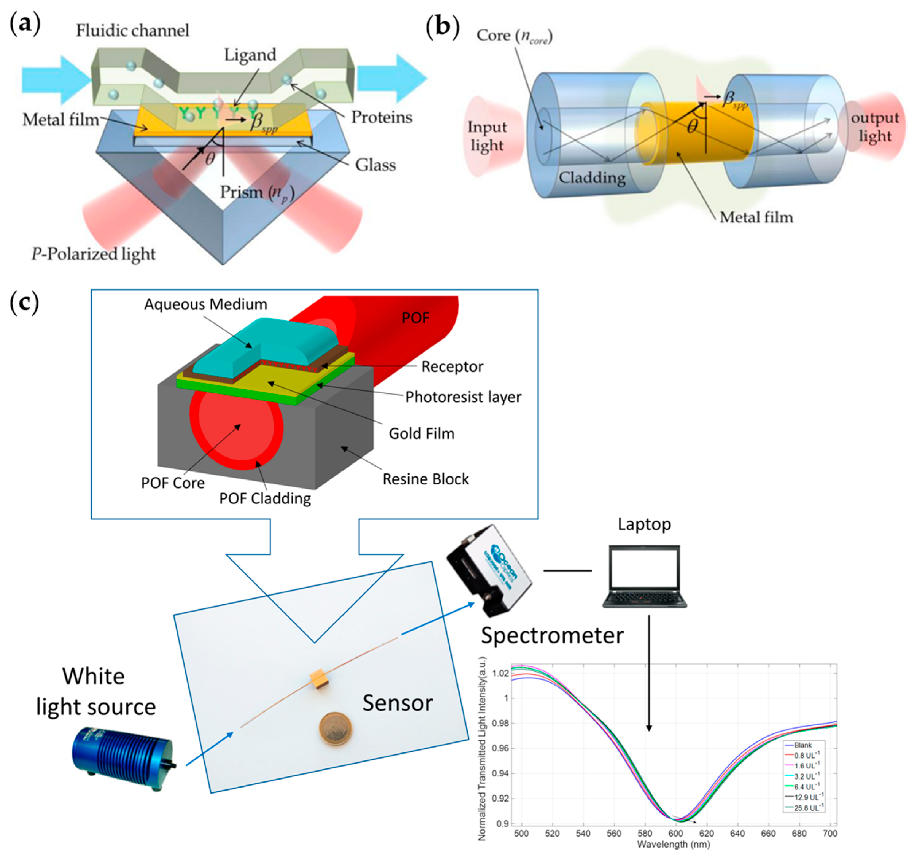 Chemosensors 11 00469 g008