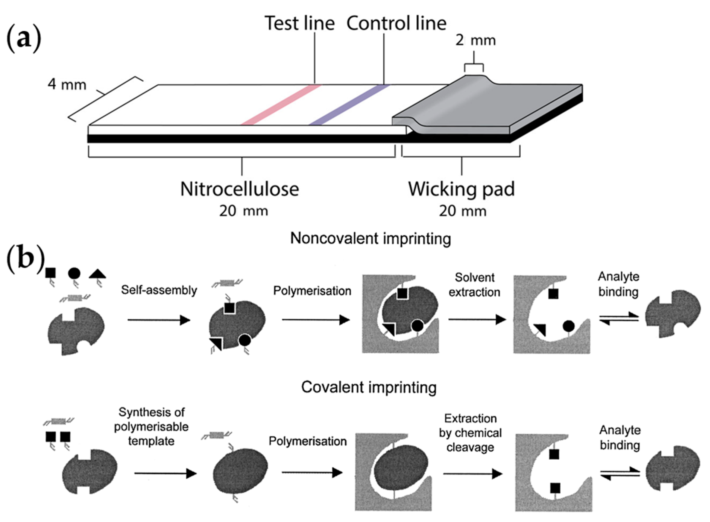 Chemosensors 11 00469 g011