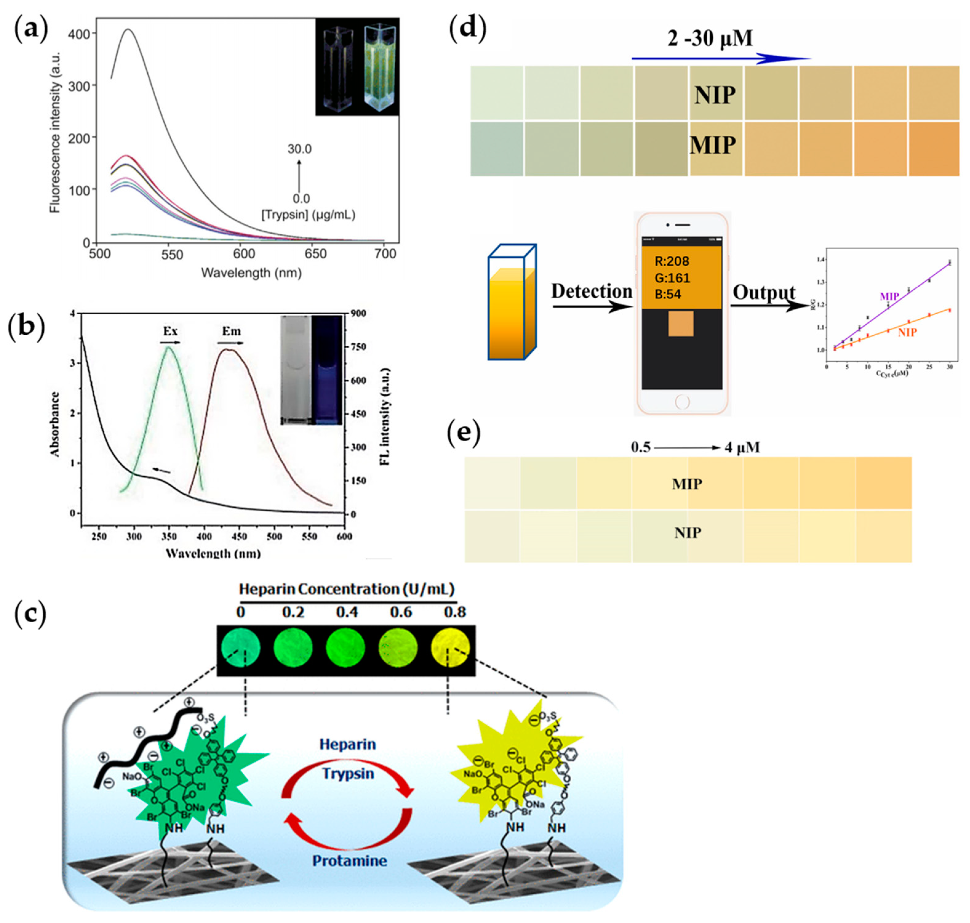 Chemosensors 11 00469 g013