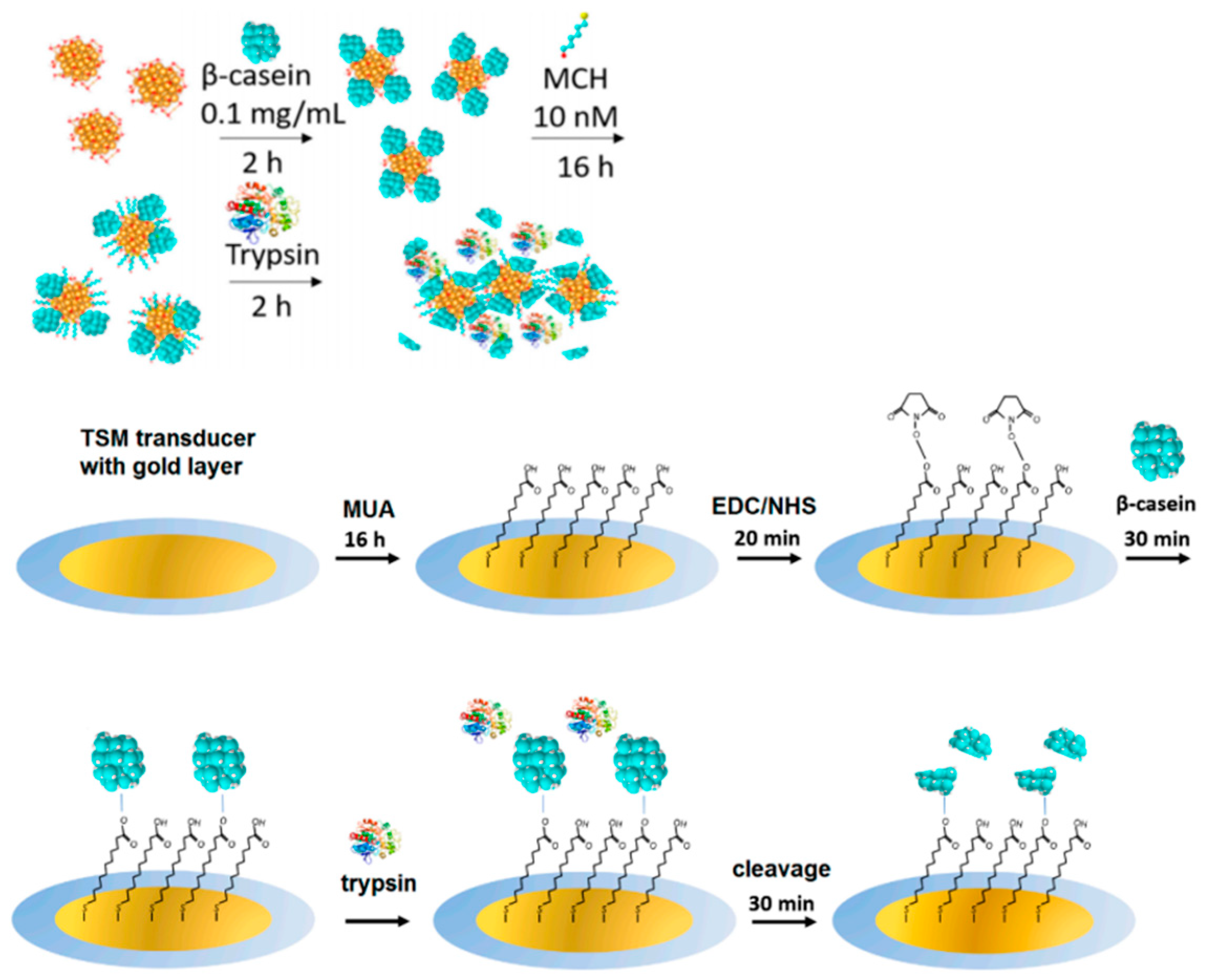 Chemosensors 11 00469 g016
