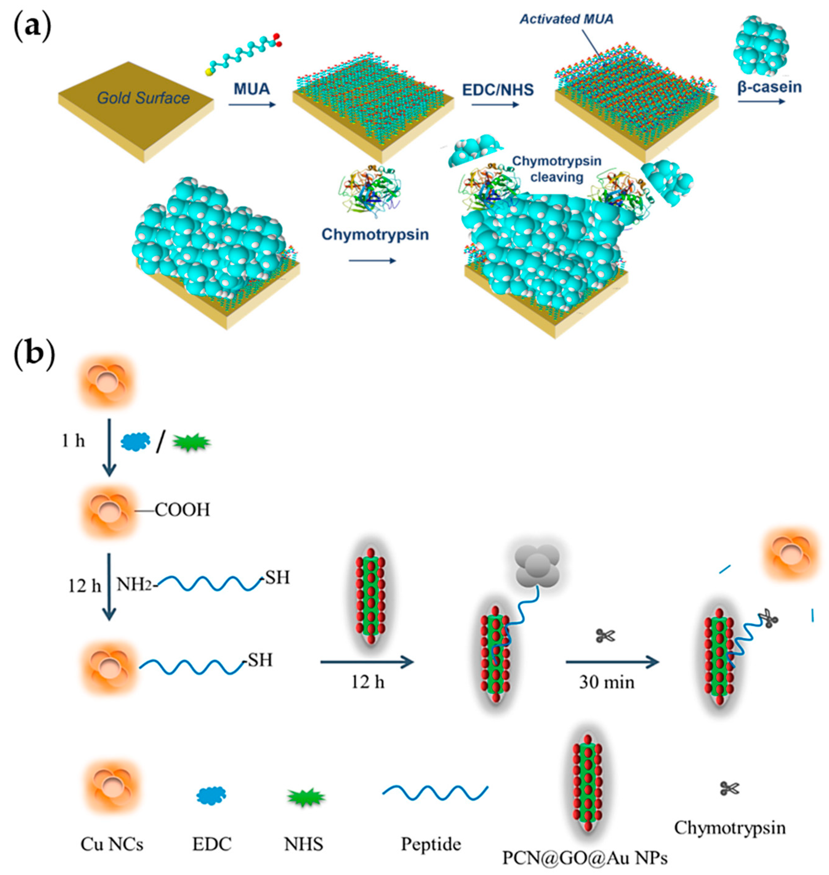 Chemosensors 11 00469 g018