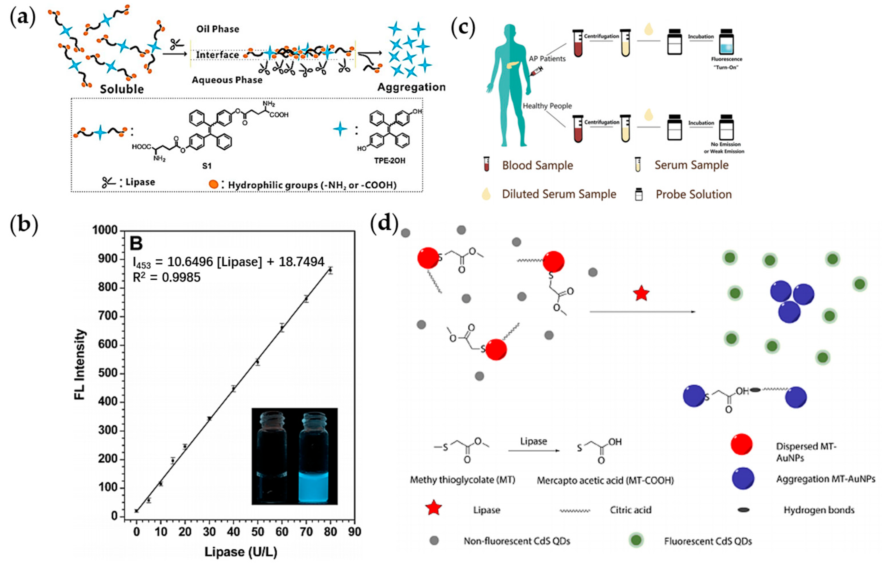 Chemosensors 11 00469 g020