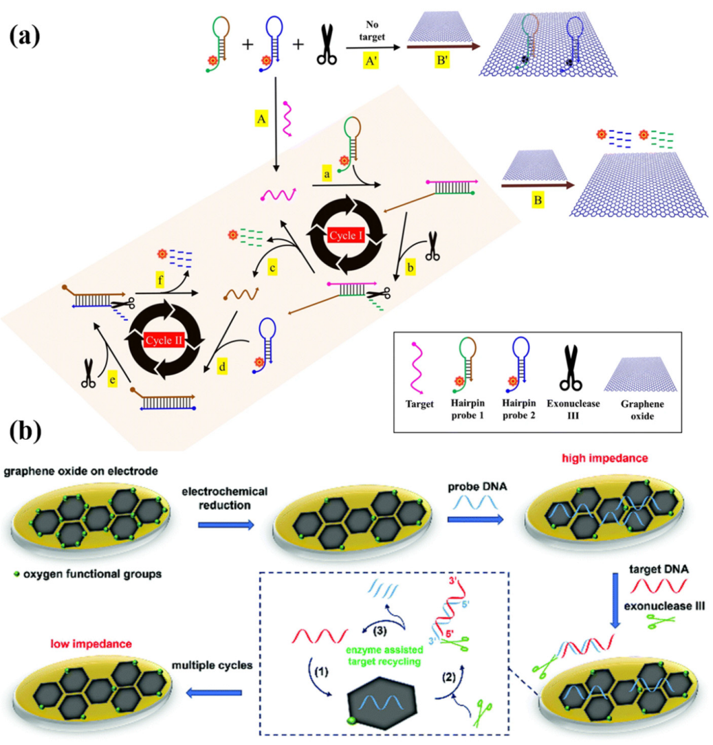 Nanoengineered material based biosensing electrodes for enzymatic