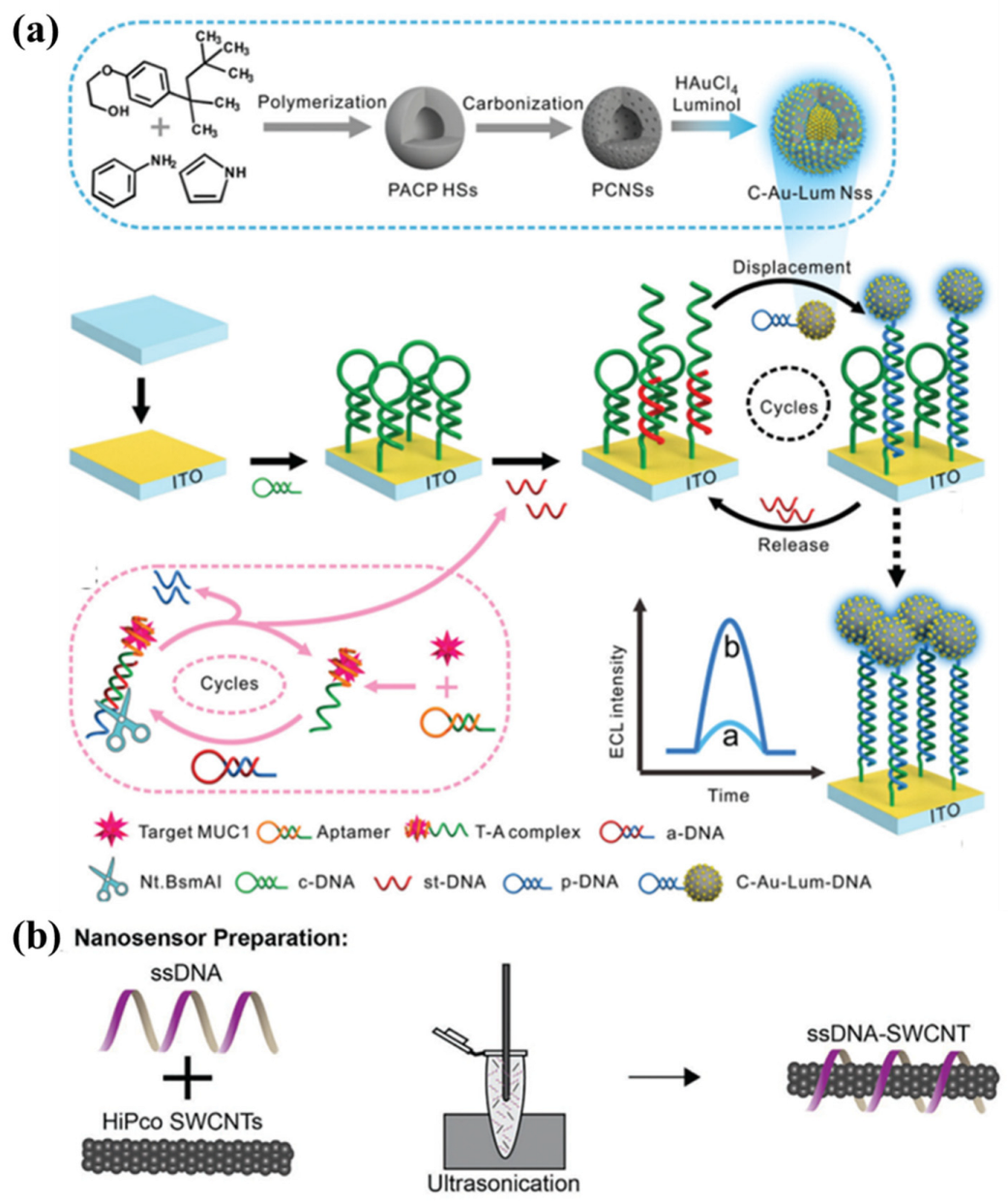 Chemosensors | Free Full-Text | Recent Advances in Functionalization ...