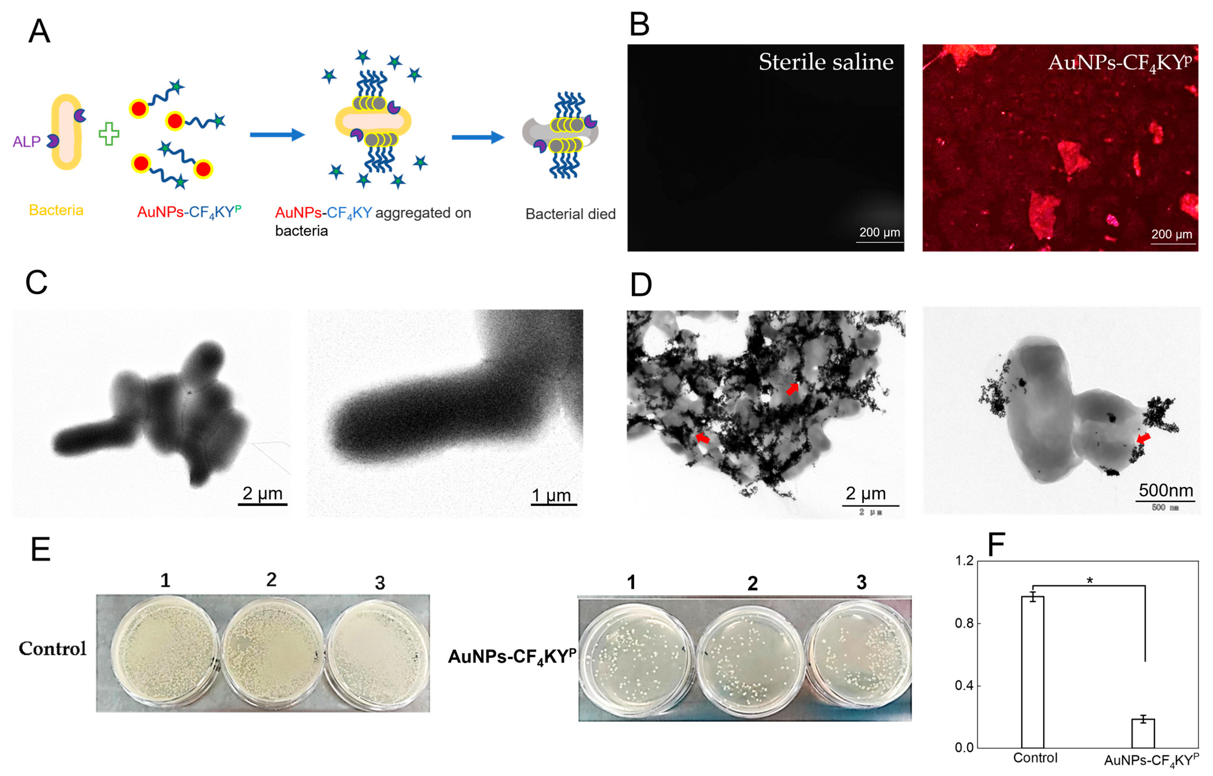 Chemosensors 11 00484 g004