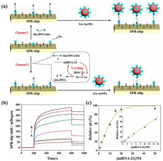 Chemosensors | Free Full-Text | MicroRNA Biosensors For Early Detection ...