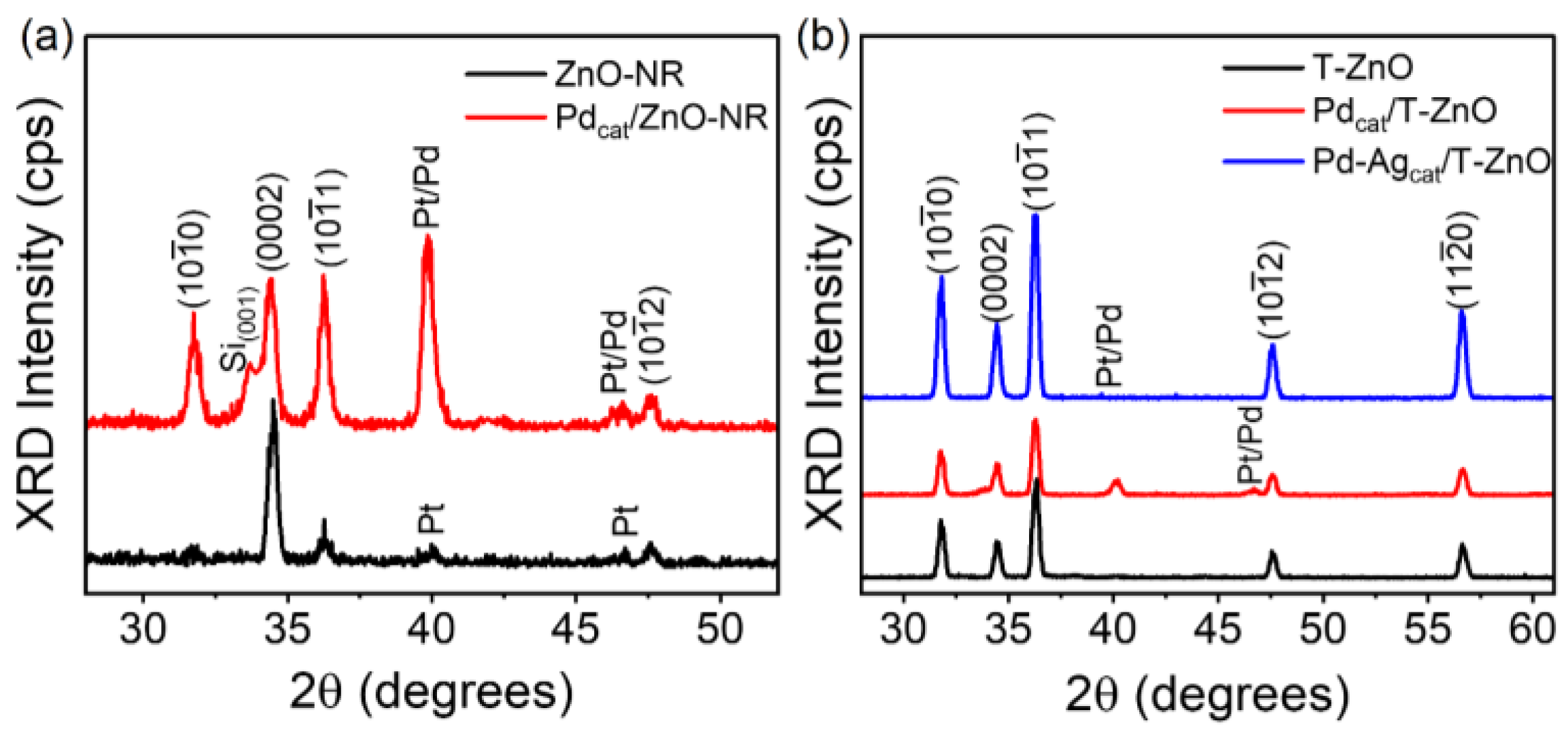 Chemosensors 11 00506 g001
