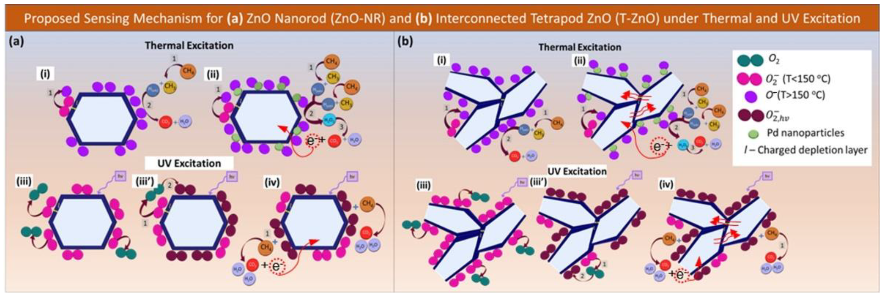 Chemosensors 11 00506 g009