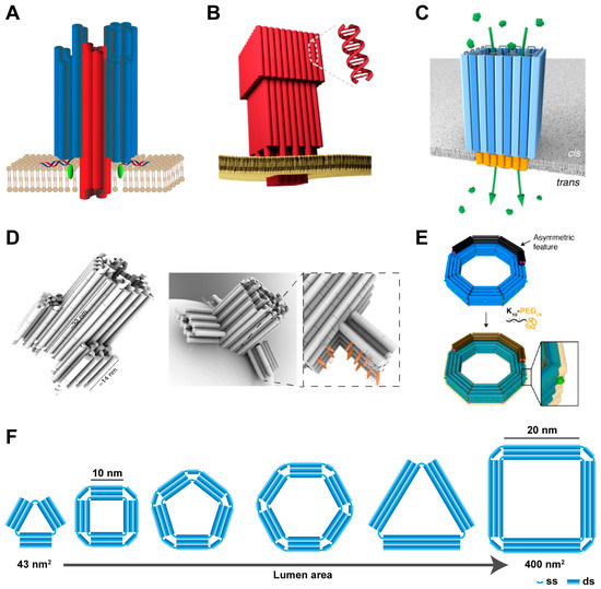 Chemosensors | Free Full-Text | Design of DNA-Based Artificial