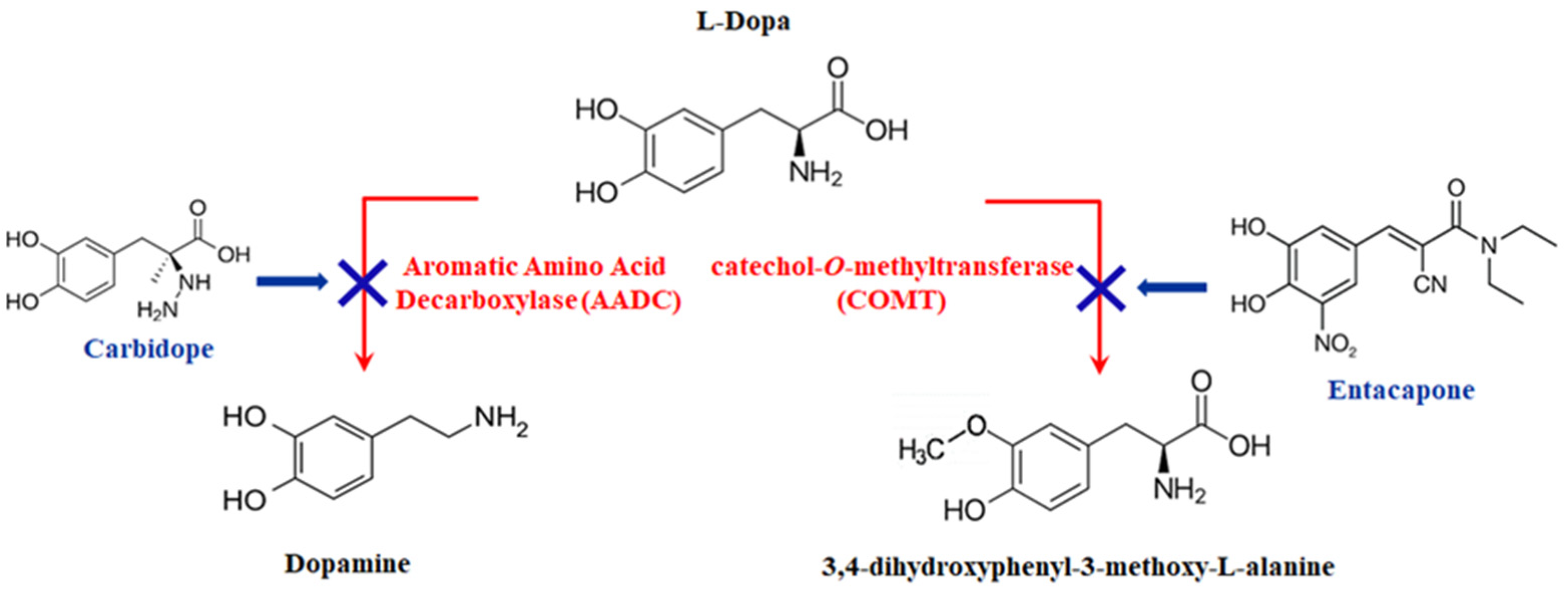 Chemosensors 11 00523 g002 Chemosensors 11 00523 g002