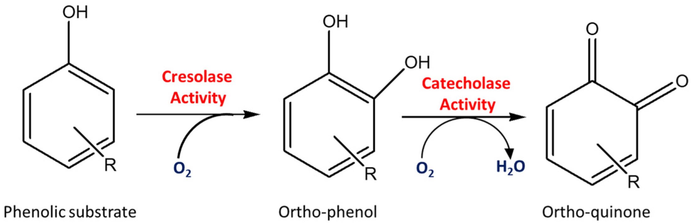 Chemosensors 11 00523 g004 Chemosensors 11 00523 g004