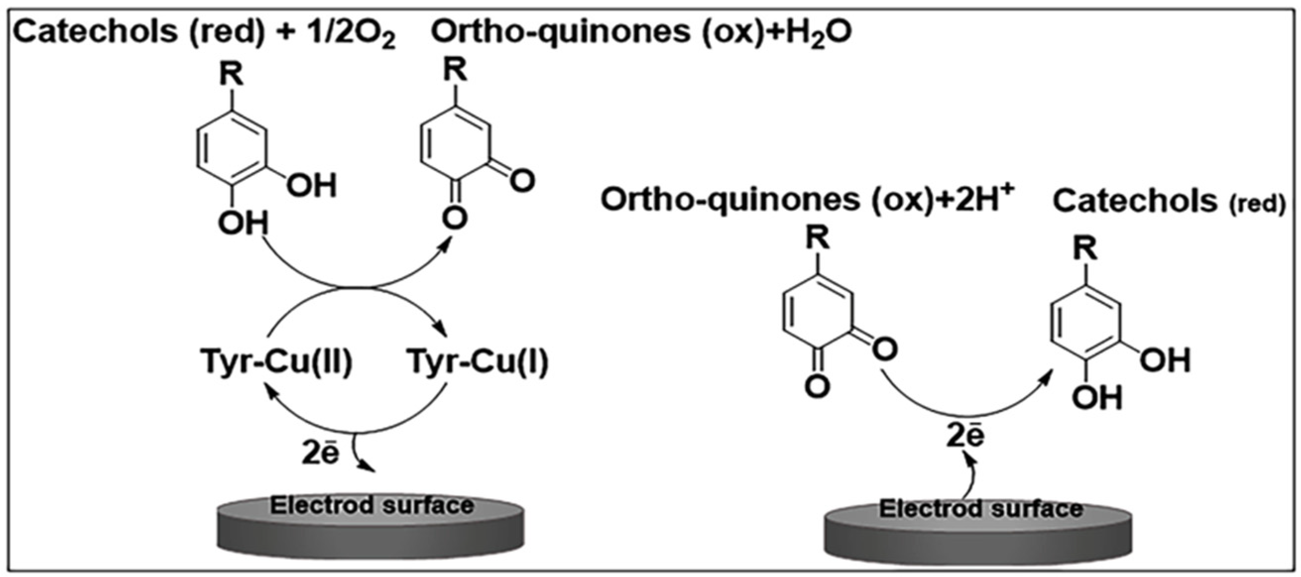 Chemosensors 11 00523 g006 Chemosensors 11 00523 g006