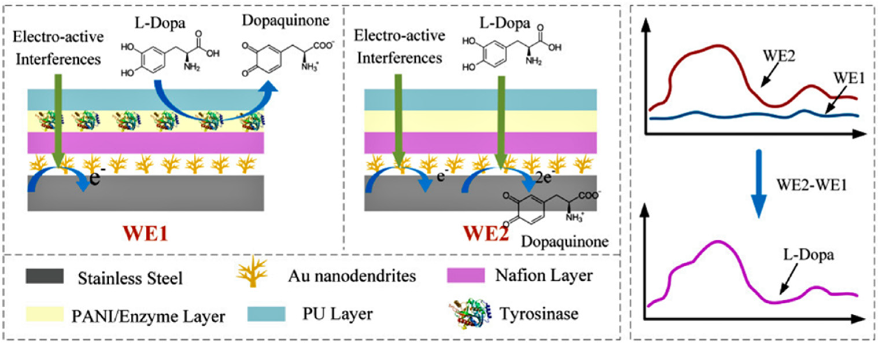 Chemosensors 11 00523 g007 Chemosensors 11 00523 g007