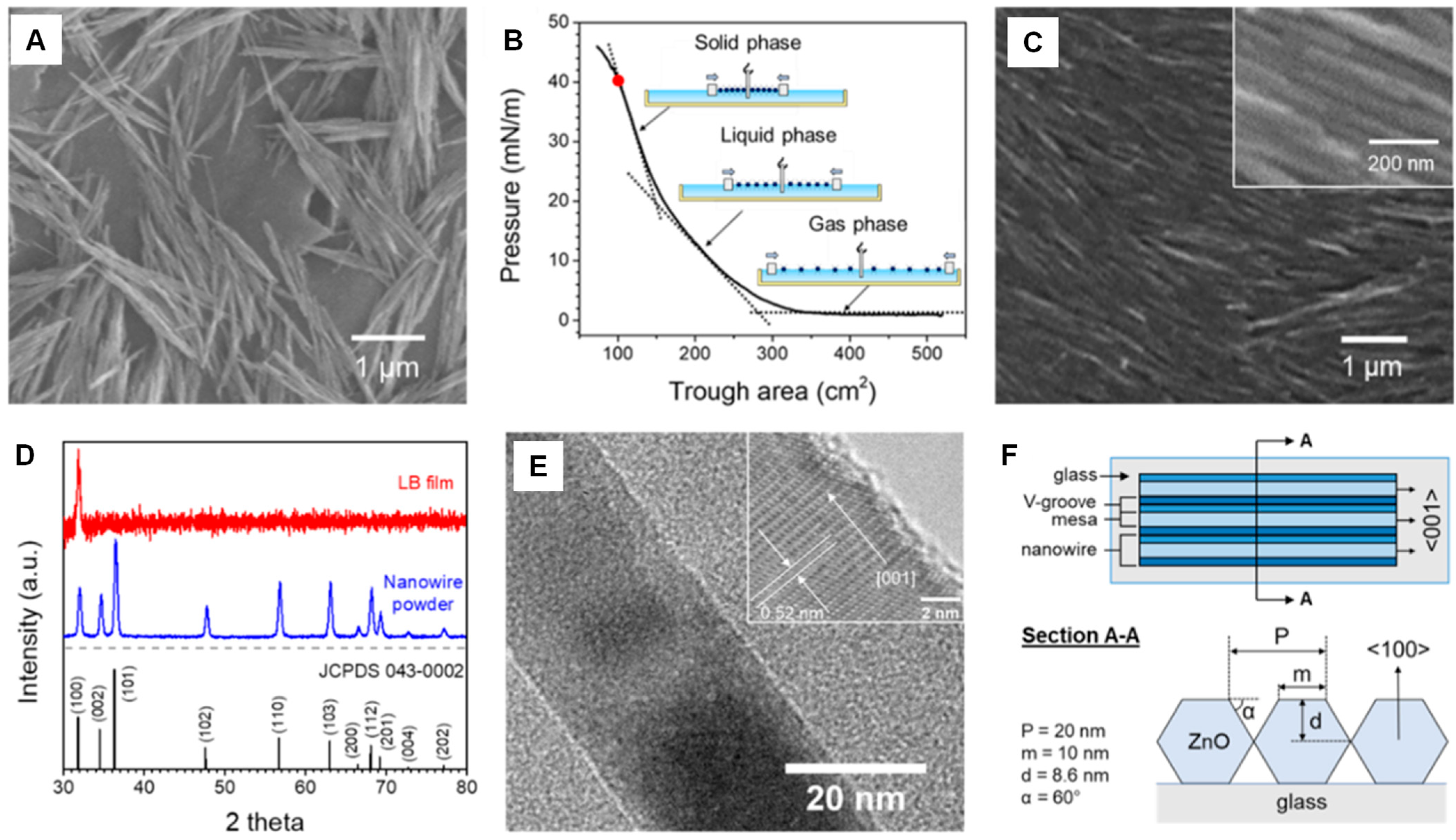 Chemosensors 11 00524 g002