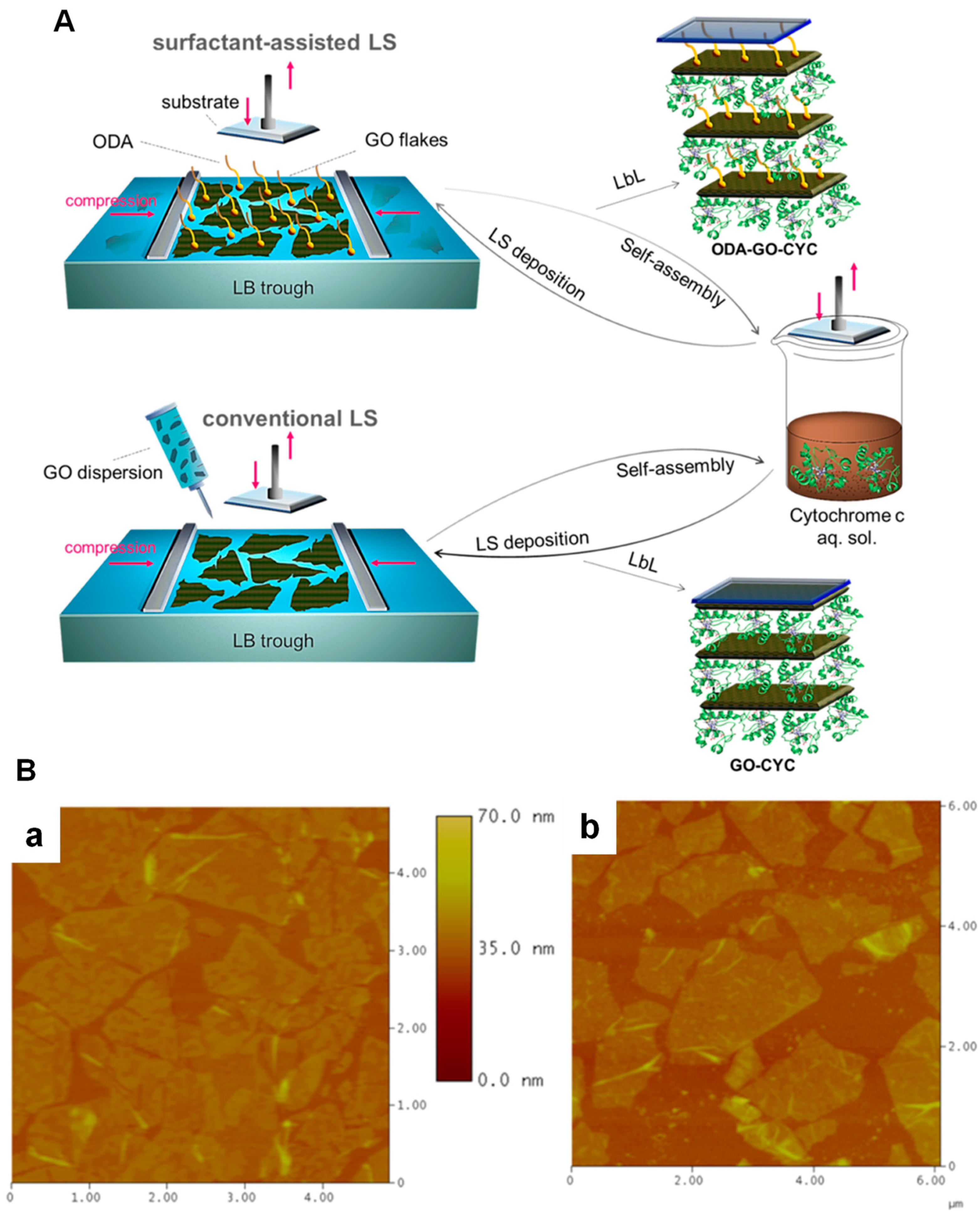 Chemosensors 11 00524 g004