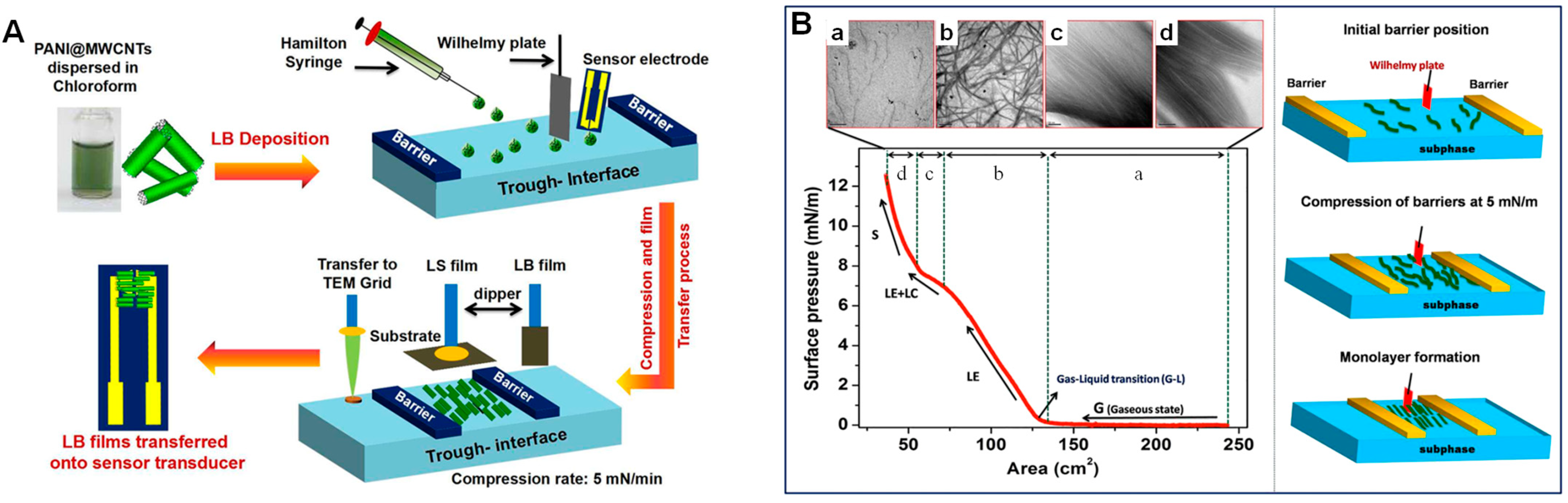 Chemosensors 11 00524 g005