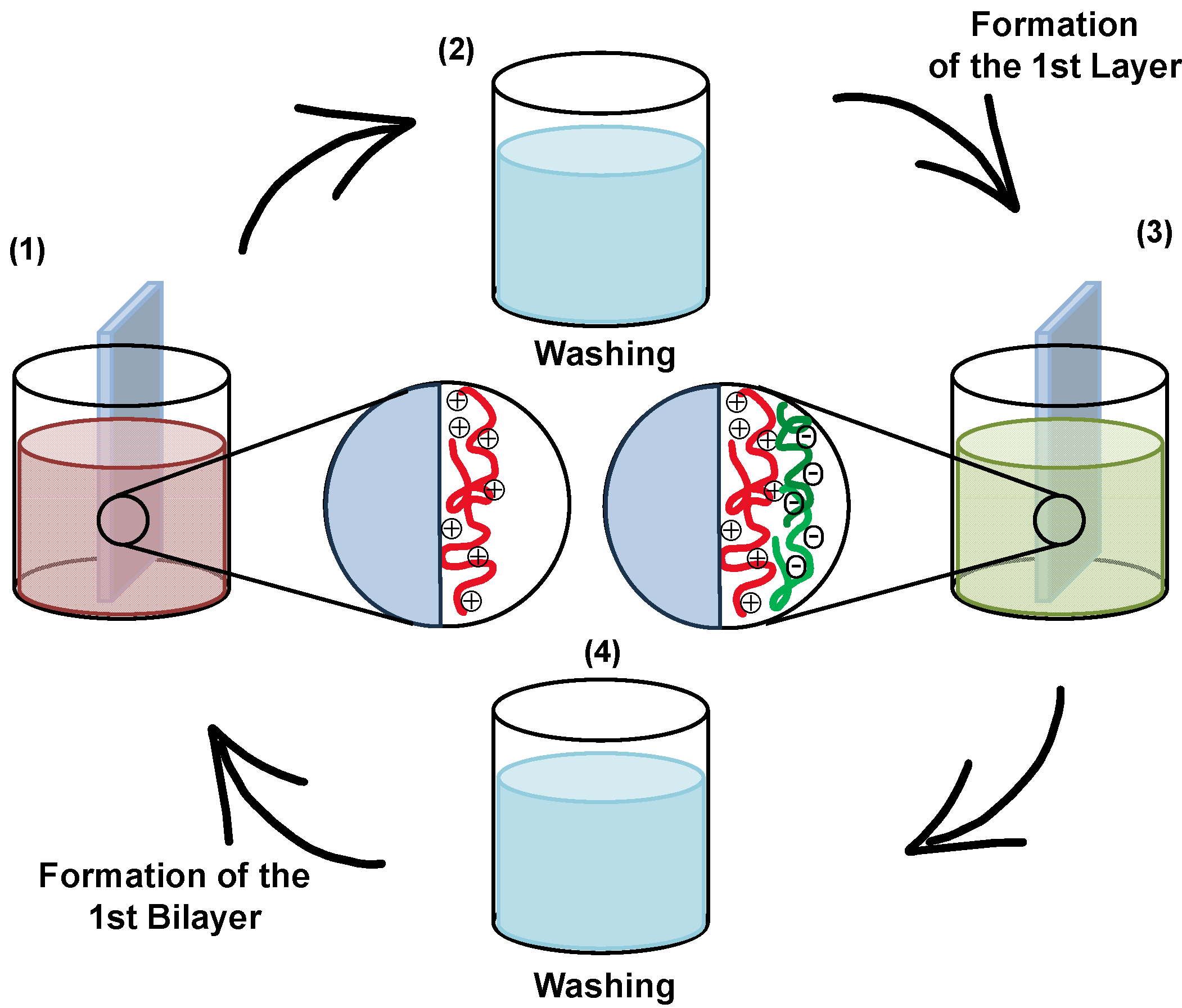 Chemosensors 11 00524 g006
