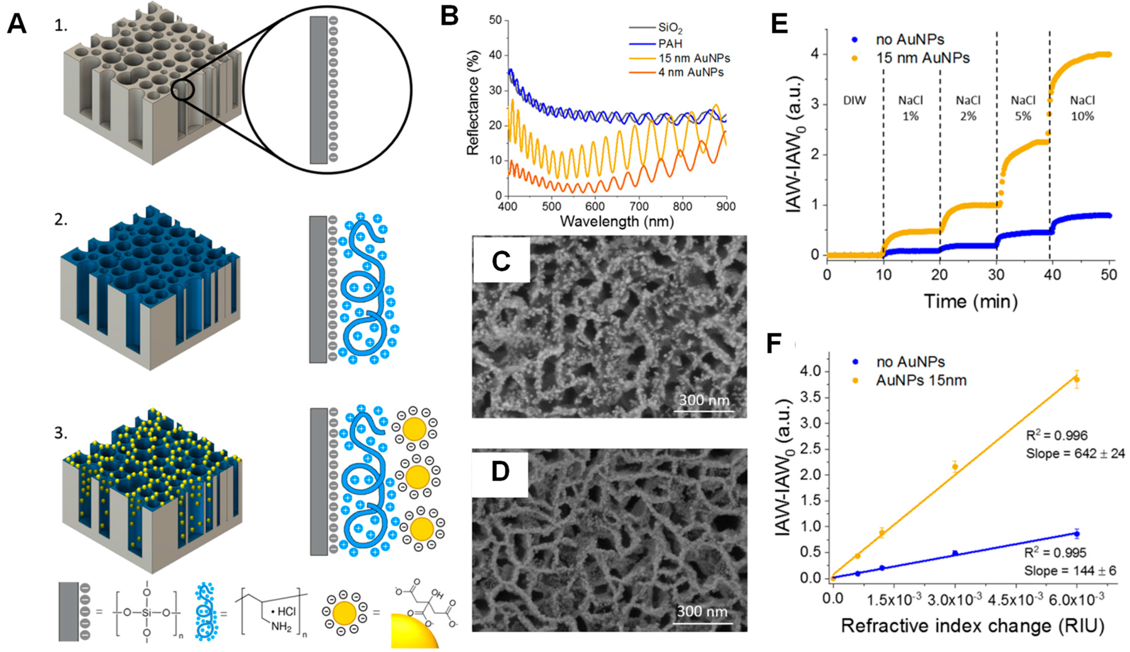 Chemosensors 11 00524 g007
