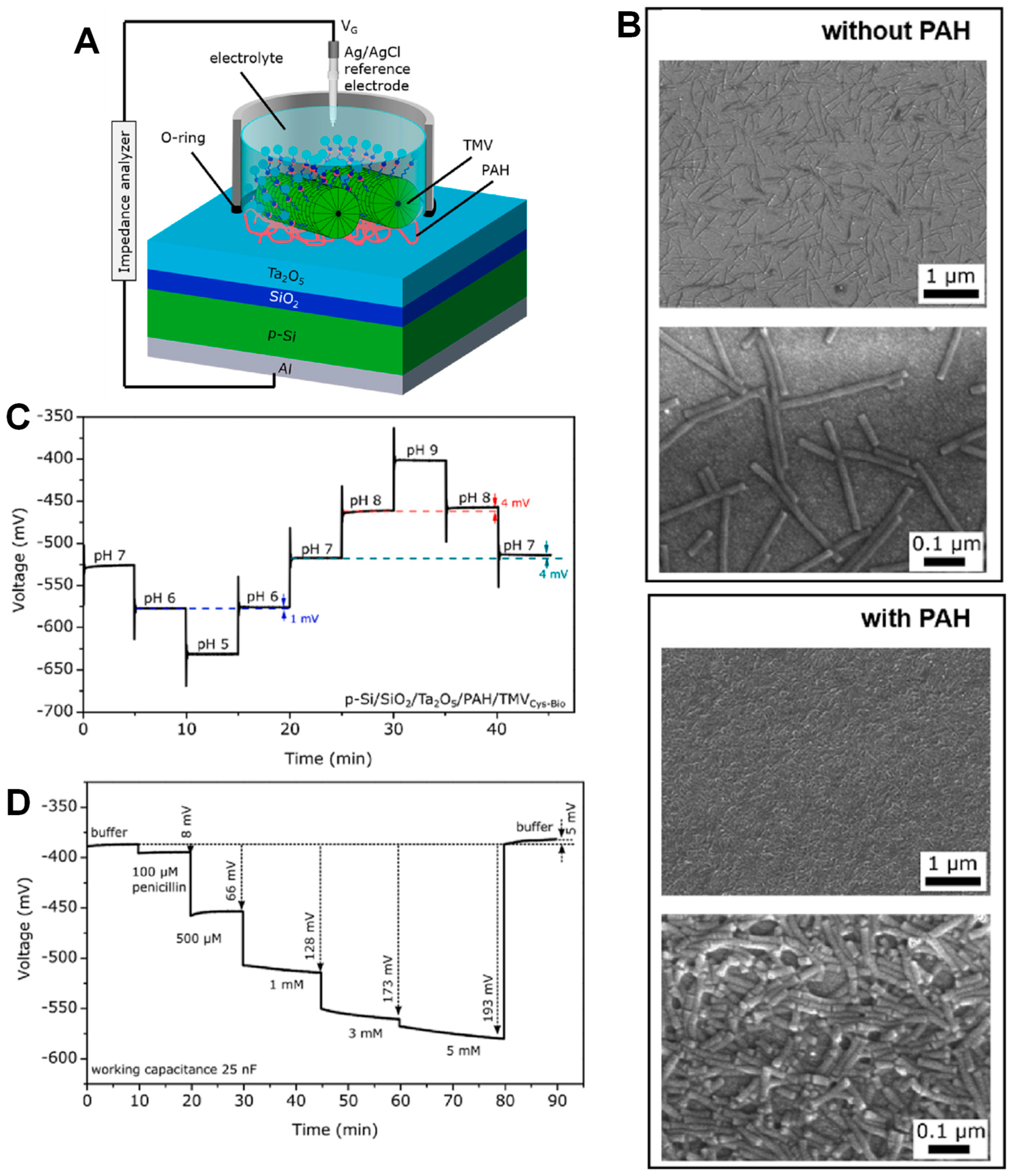 Chemosensors 11 00524 g008
