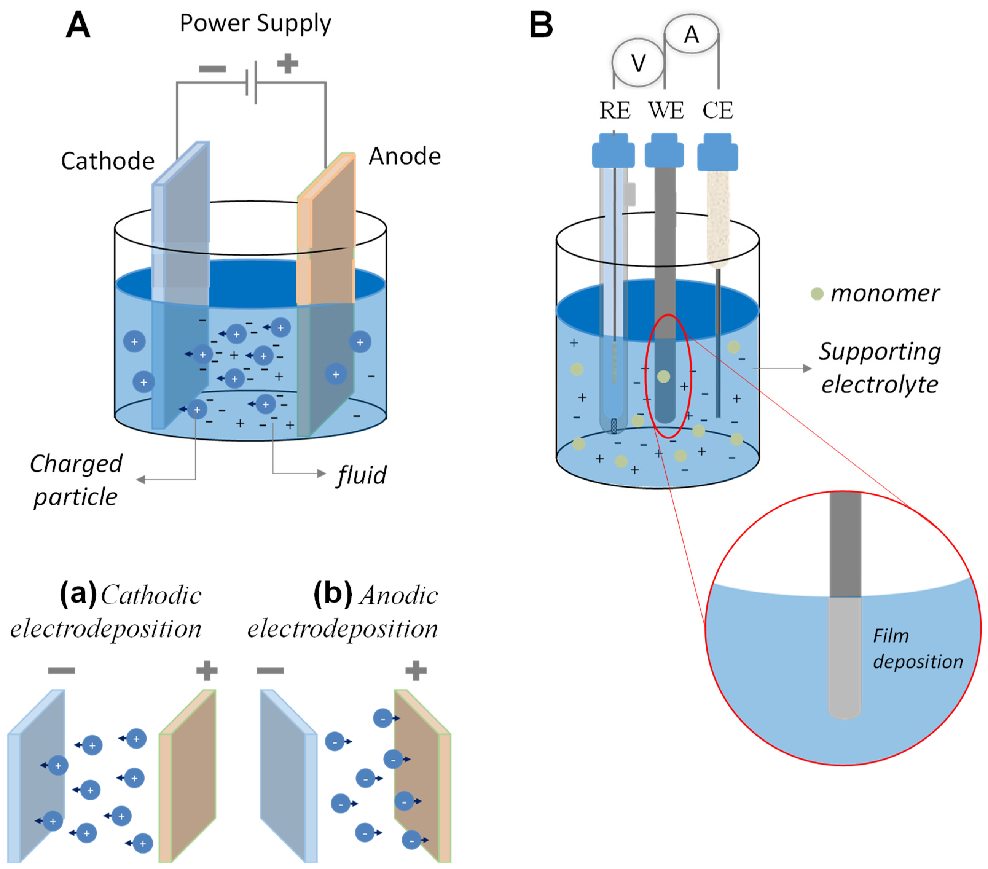 Chemosensors 11 00524 g009