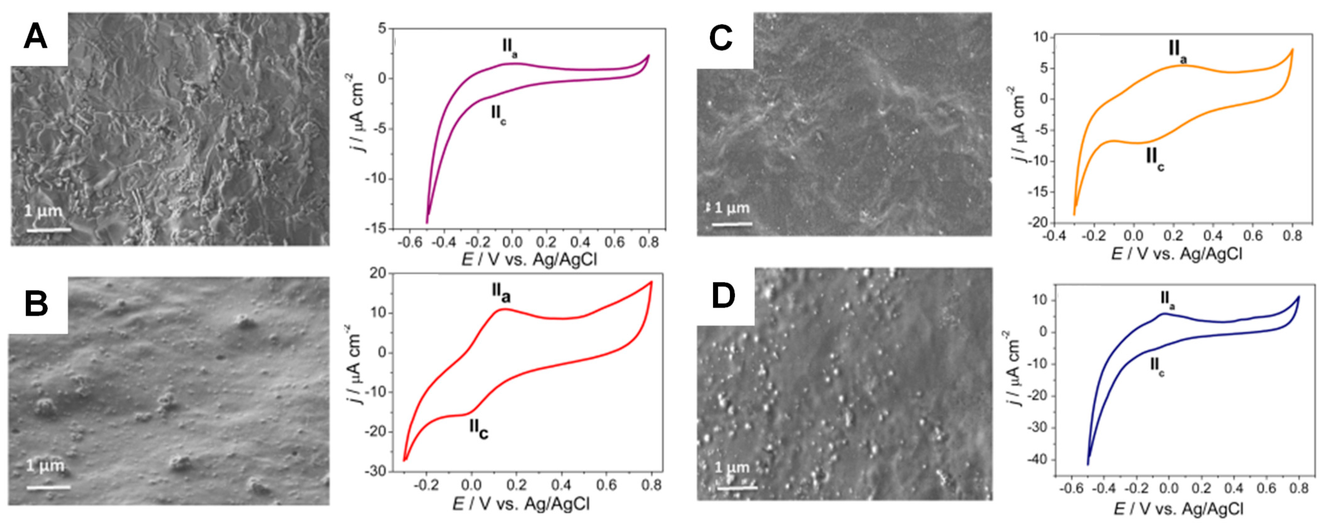 Chemosensors 11 00524 g010