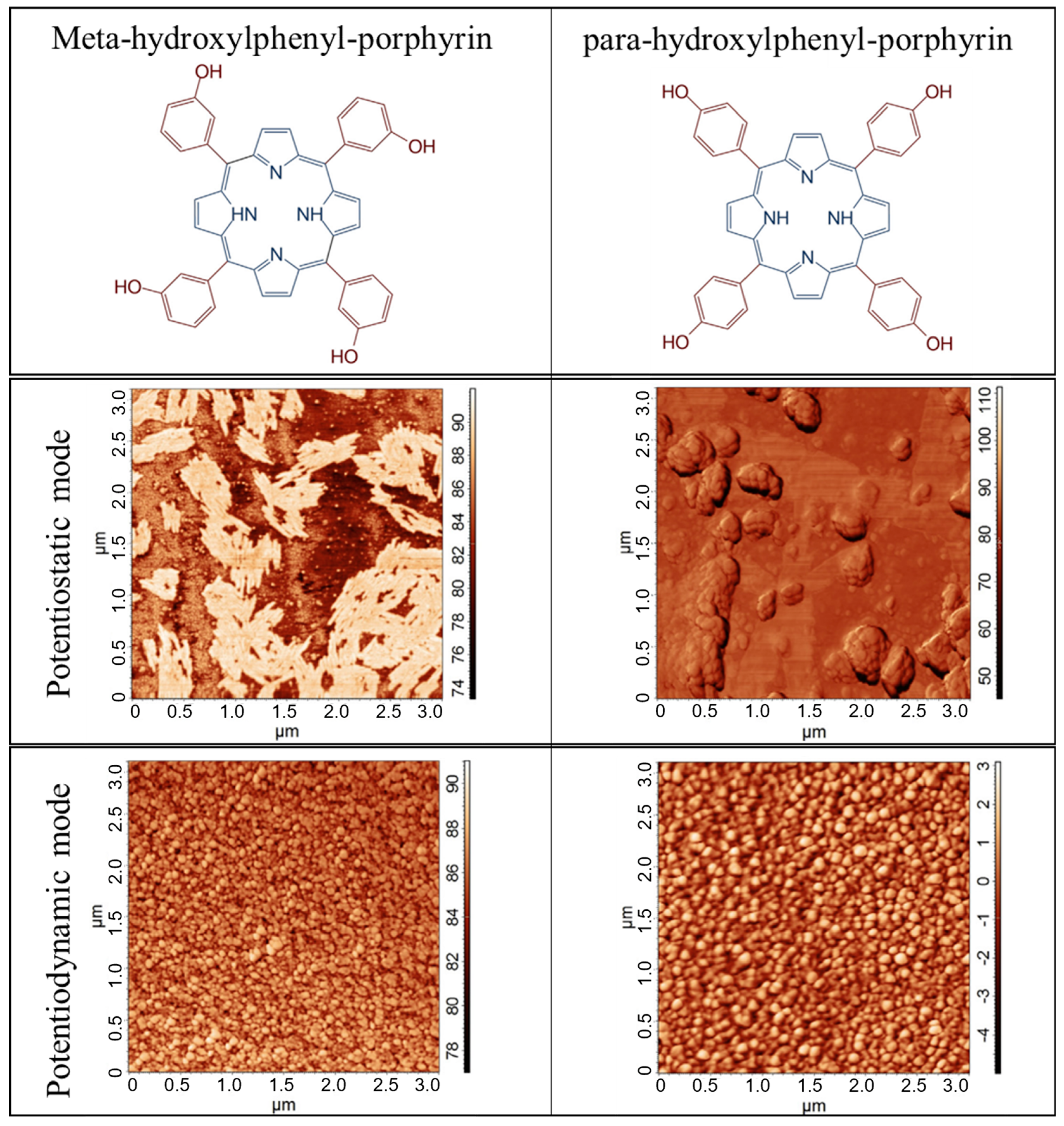 Chemosensors 11 00524 g011