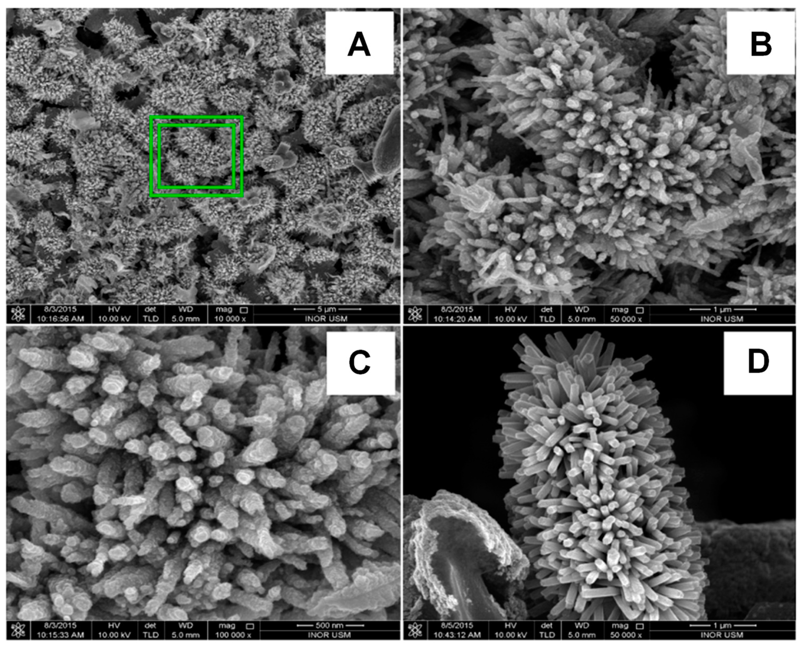 Chemosensors 11 00524 g015