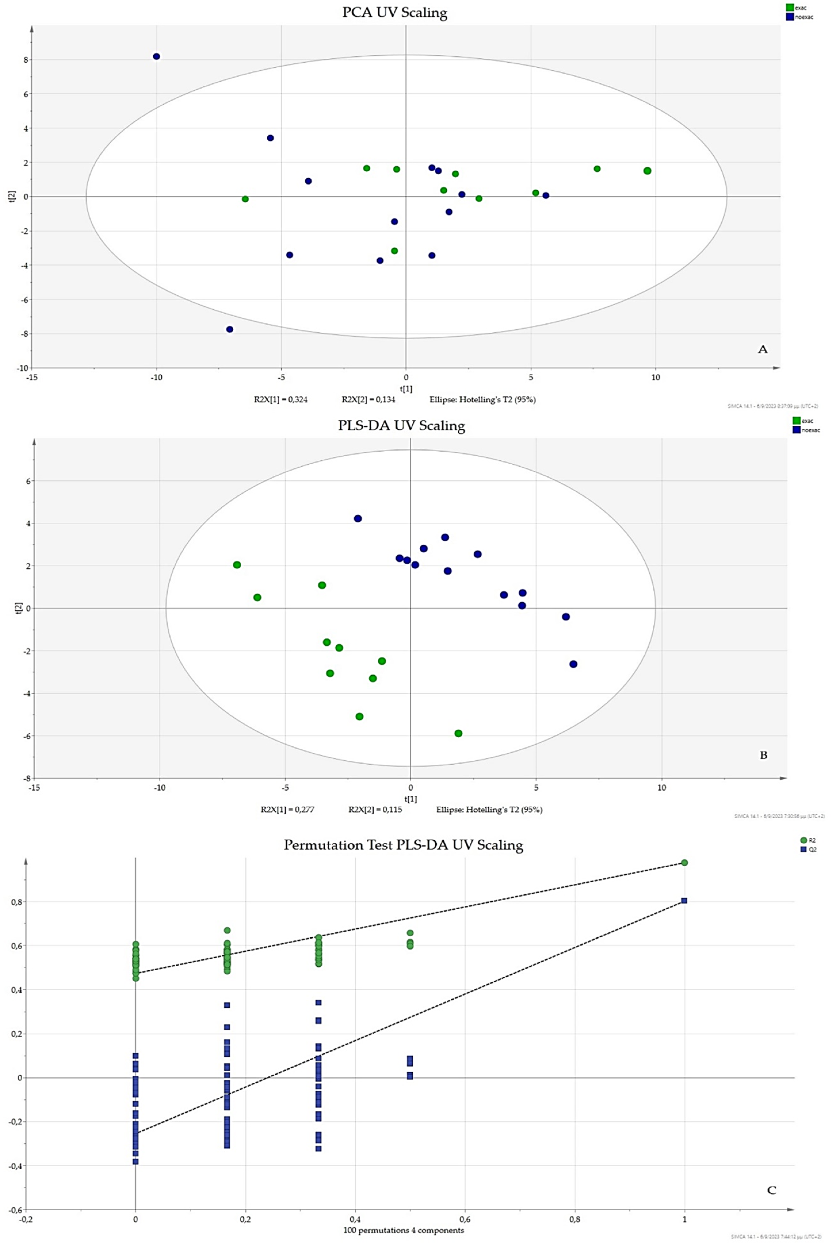 Chemosensors 11 00542 g001