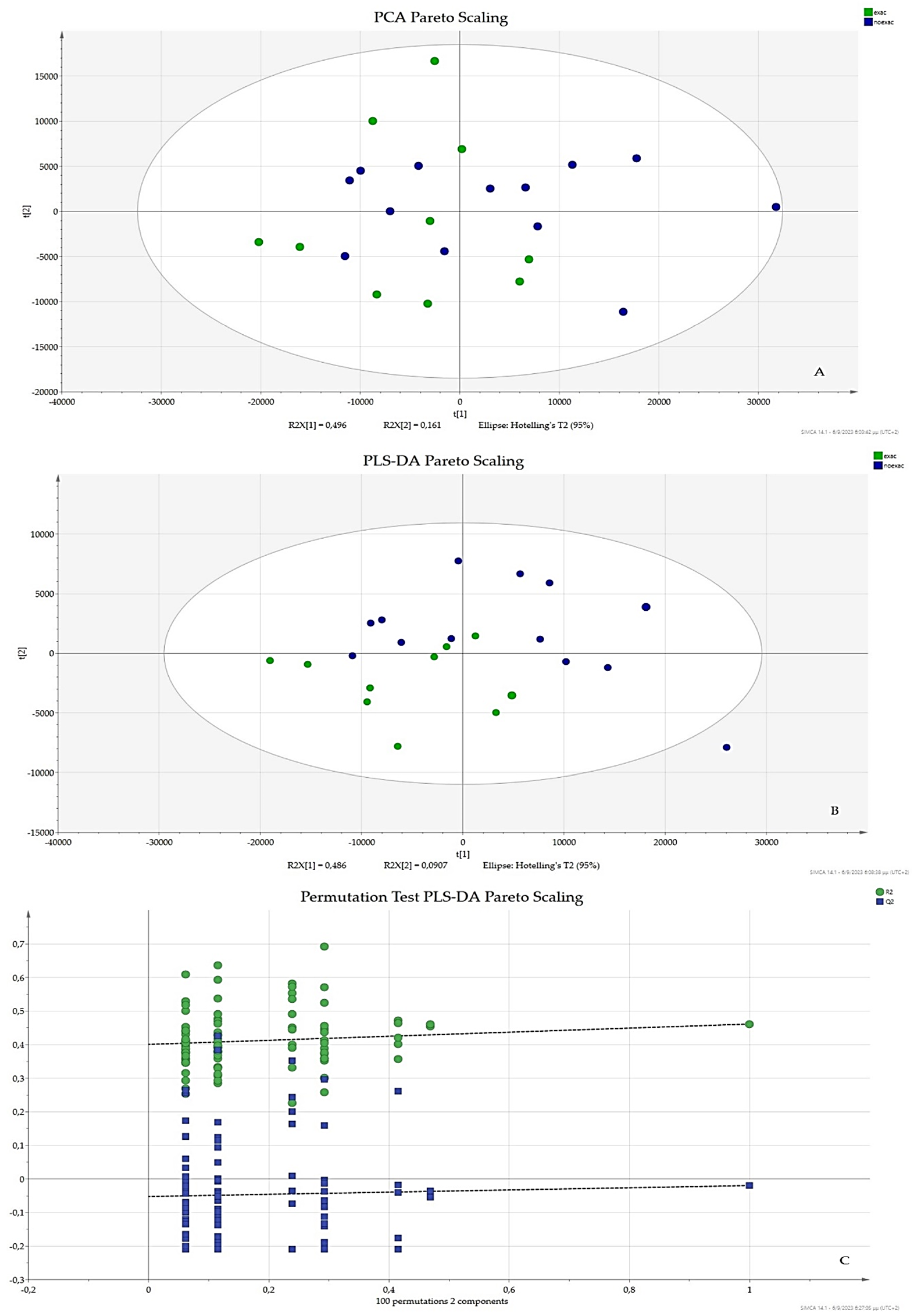 Chemosensors 11 00542 g002