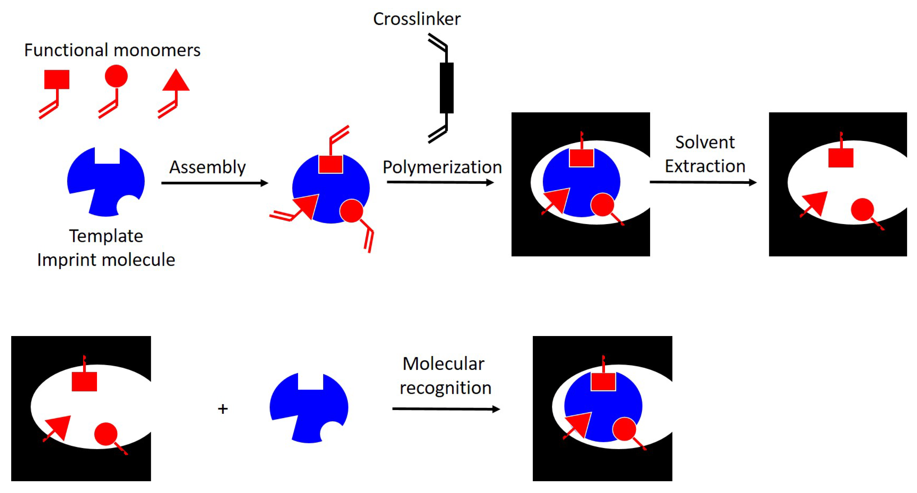 Chemosensors 11 00548 g001