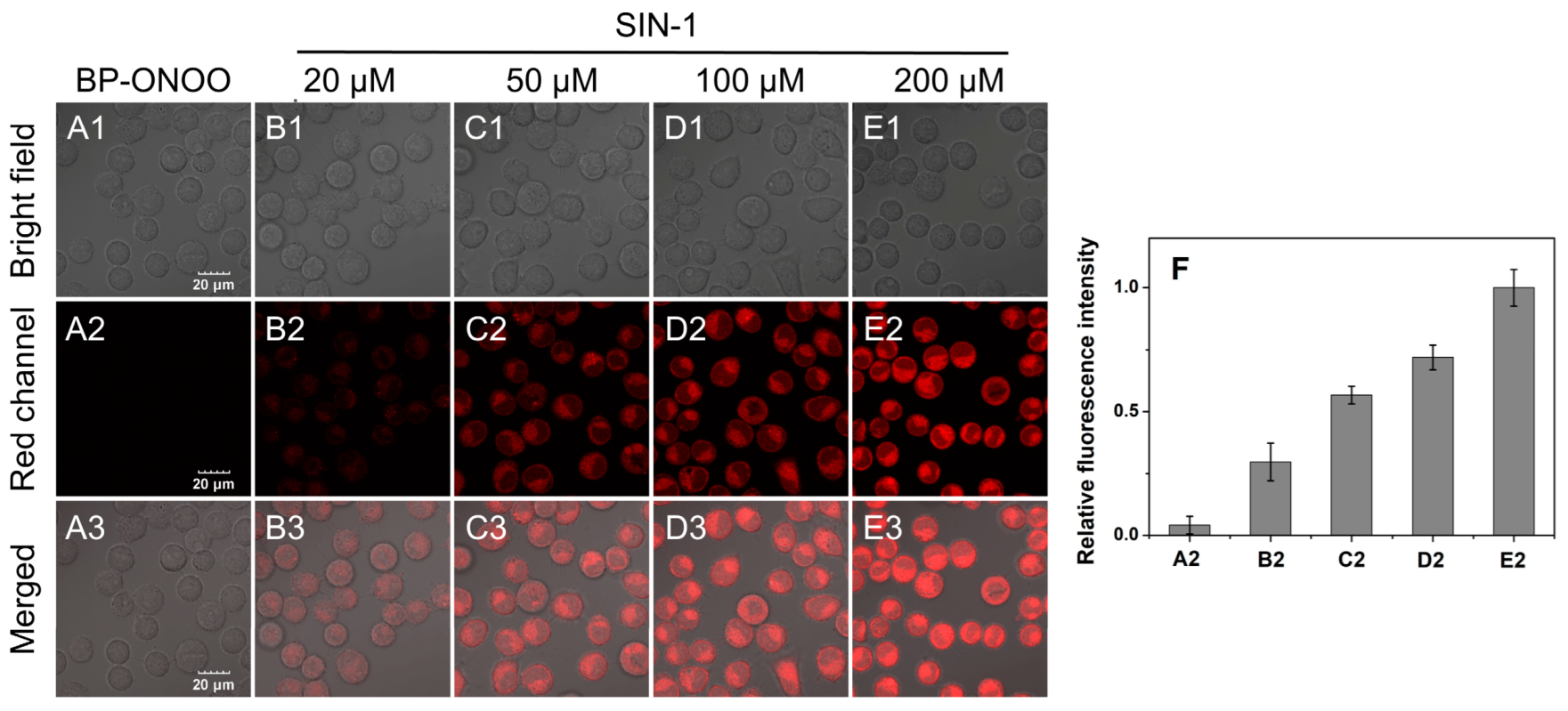 Chemosensors 11 00555 g006