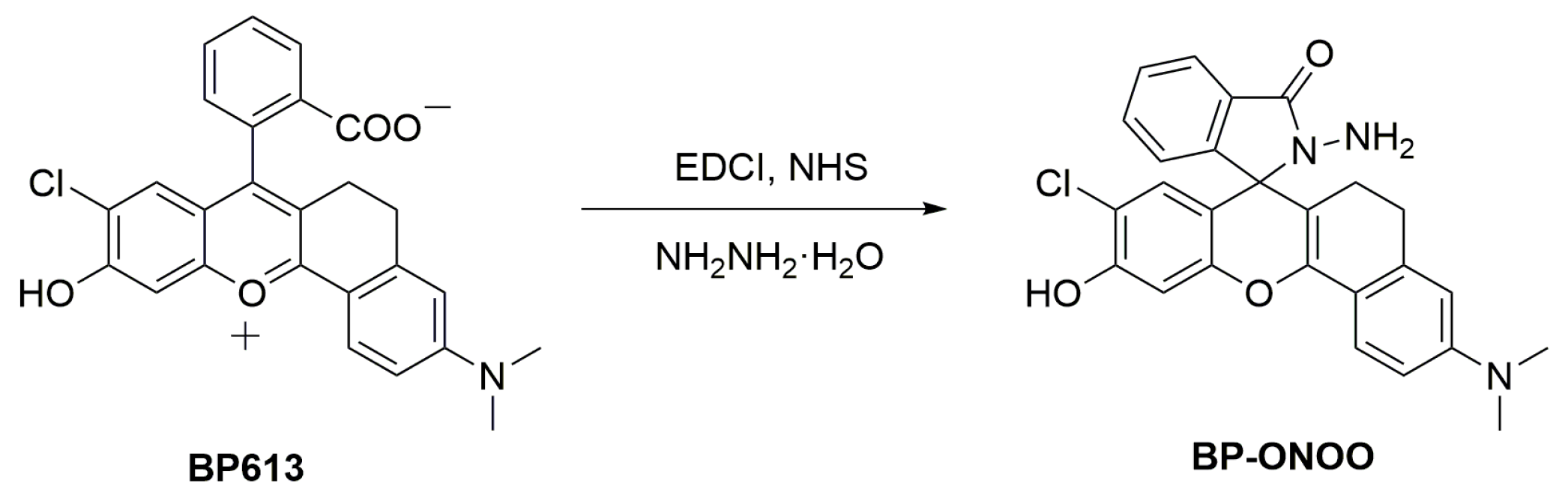 Chemosensors 11 00555 sch002