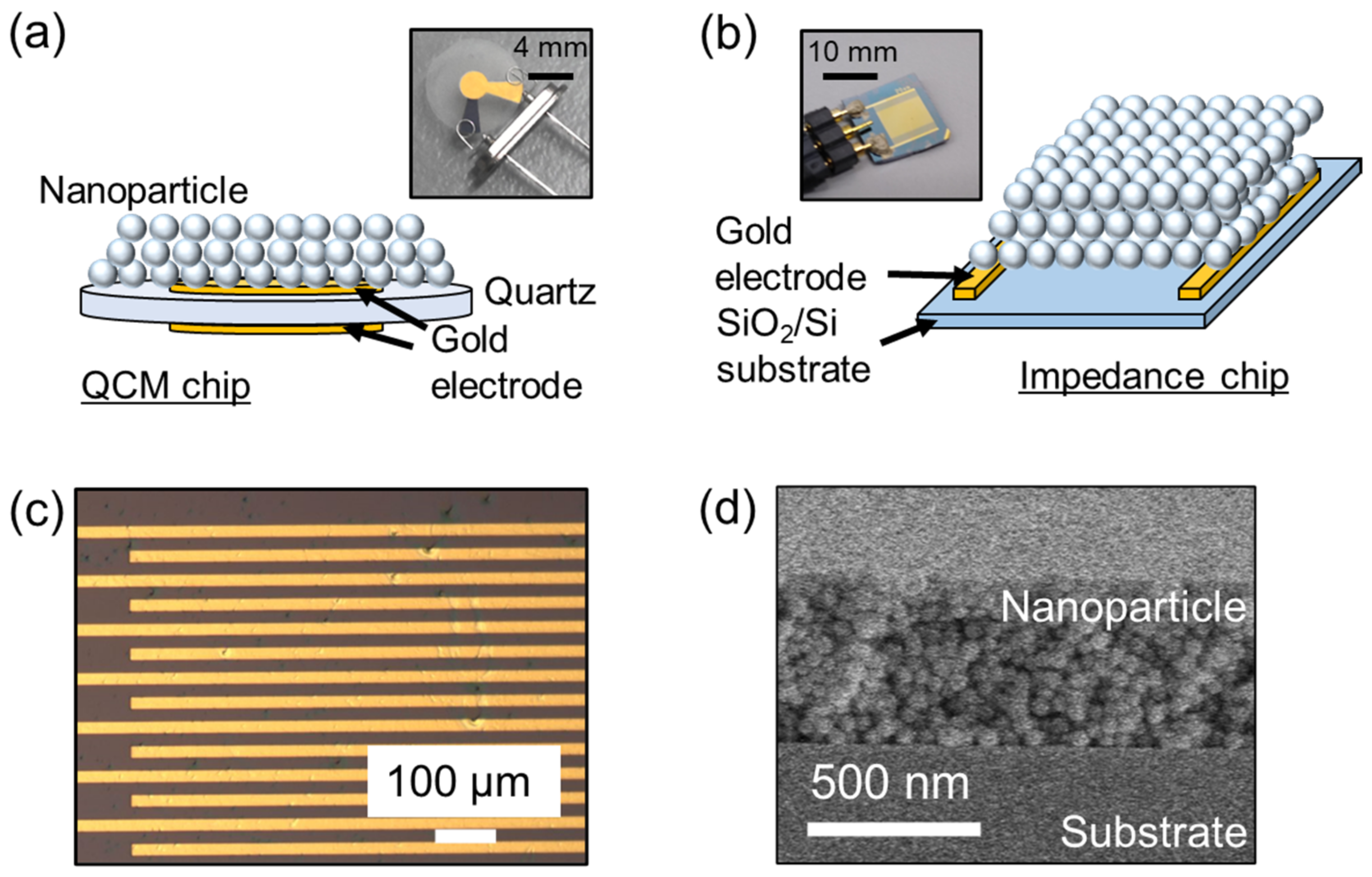 Chemosensors 11 00564 g002