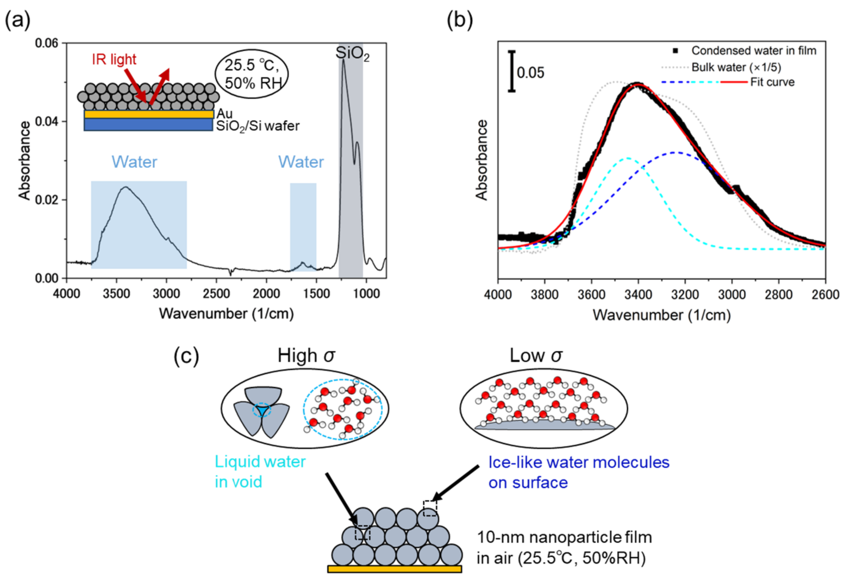 Chemosensors 11 00564 g003