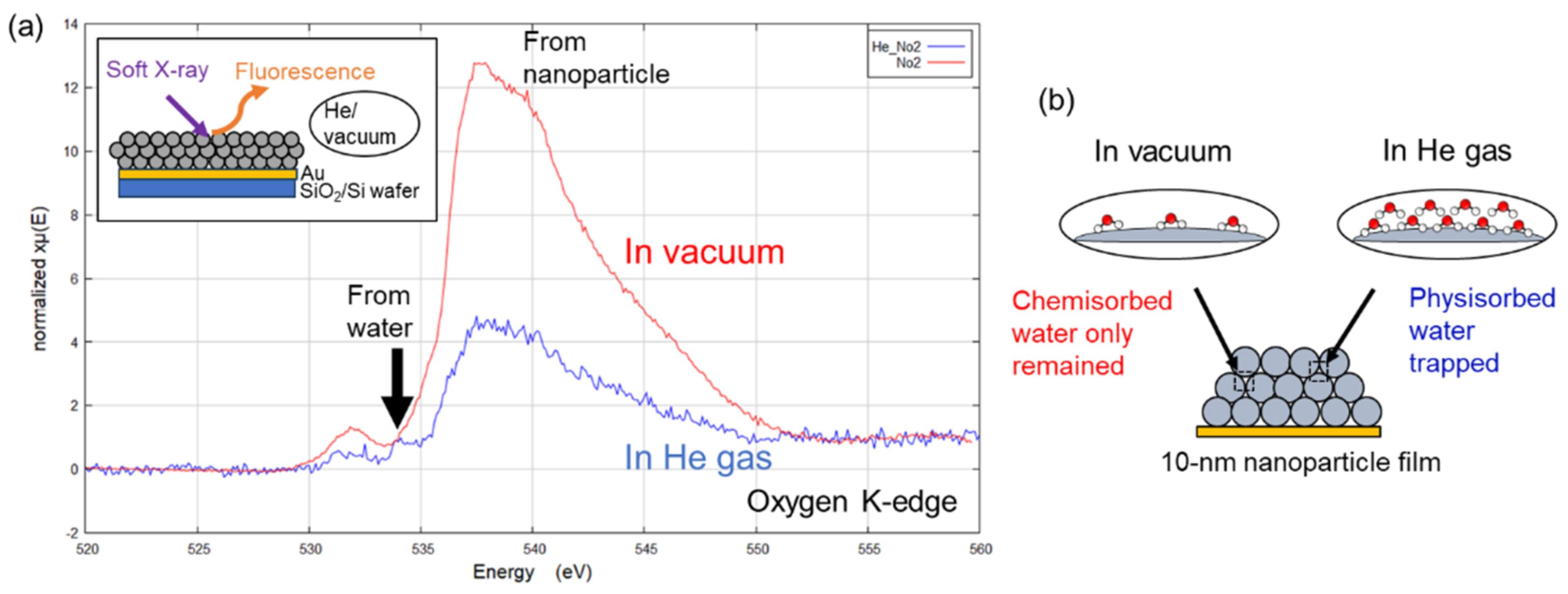Chemosensors 11 00564 g004