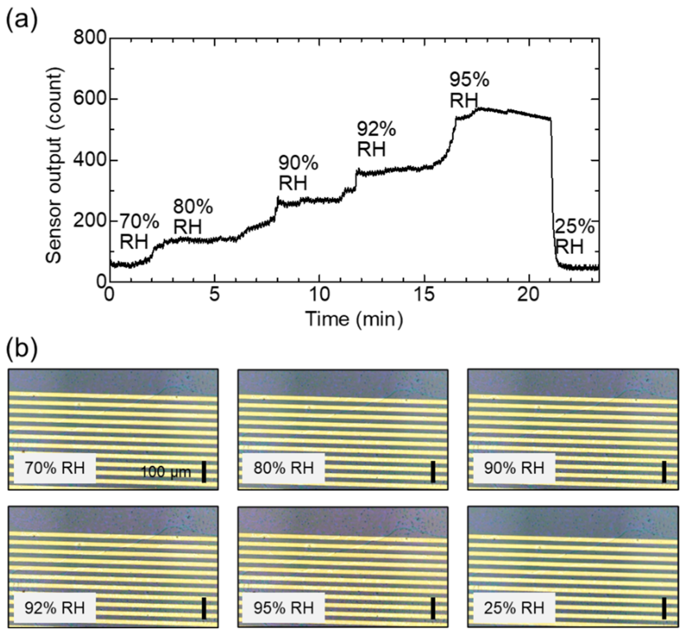 Chemosensors 11 00564 g008