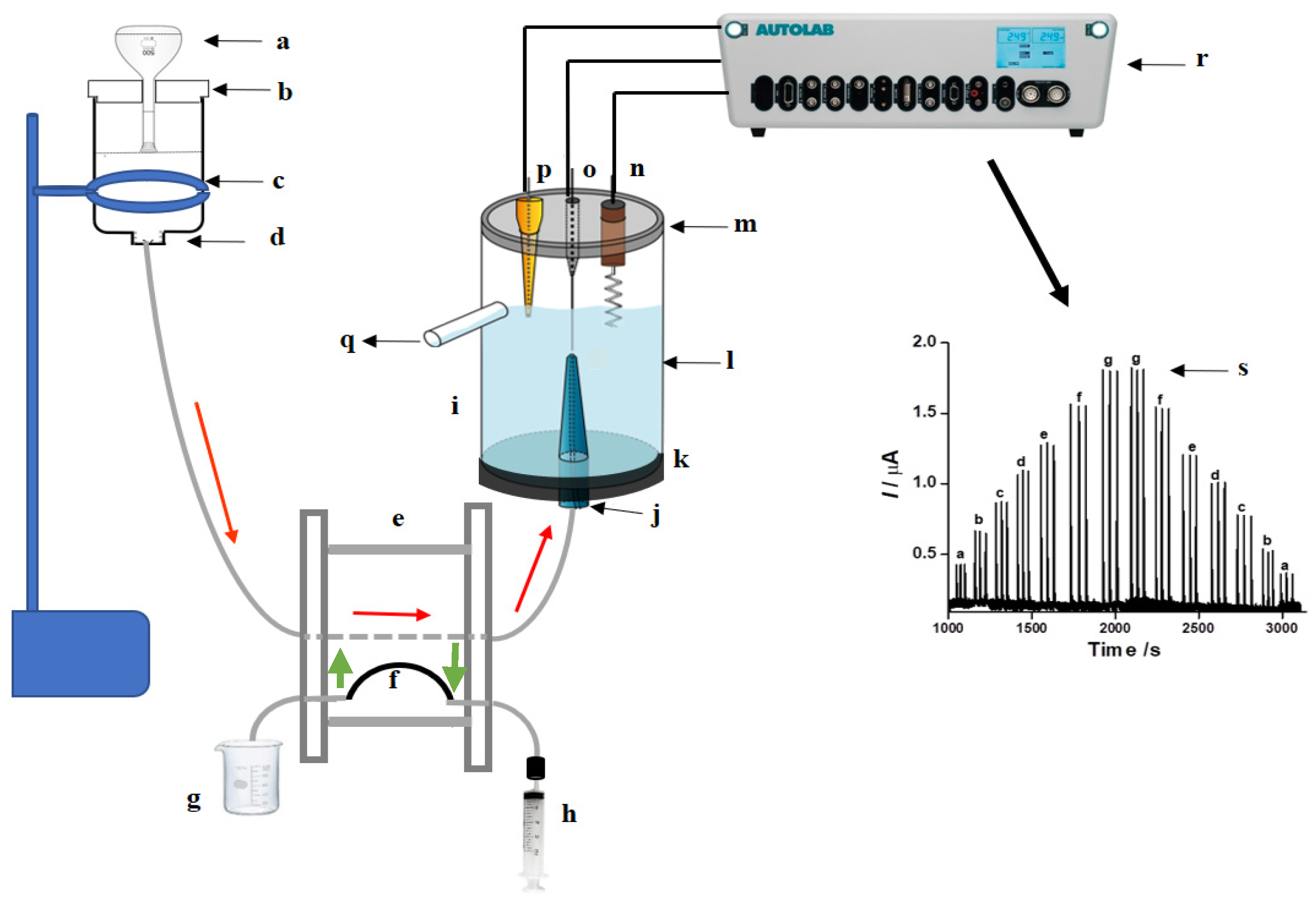 Chemosensors 11 00574 g001