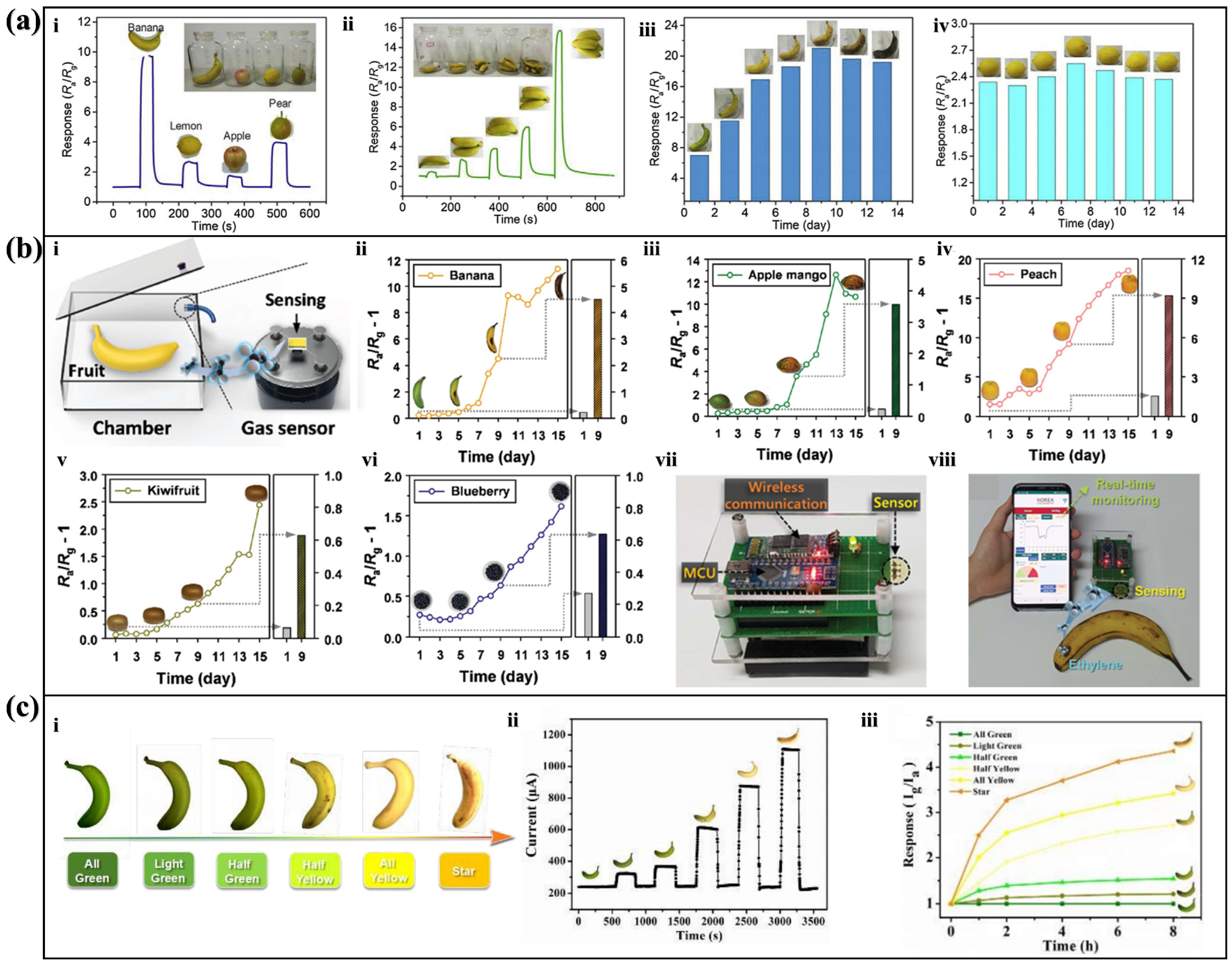 Chemosensors 12 00013 g005