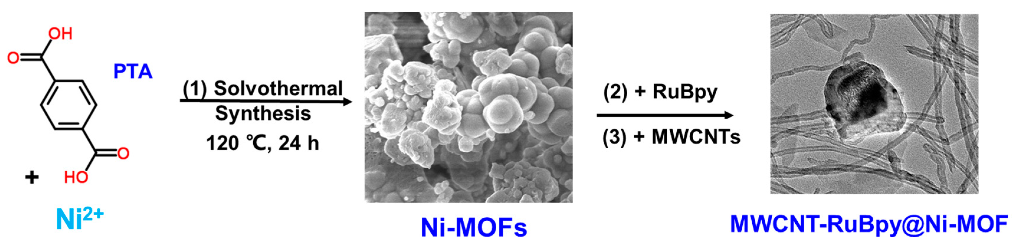 Chemosensors 12 00039 sch001 Chemosensors 12 00039 sch001