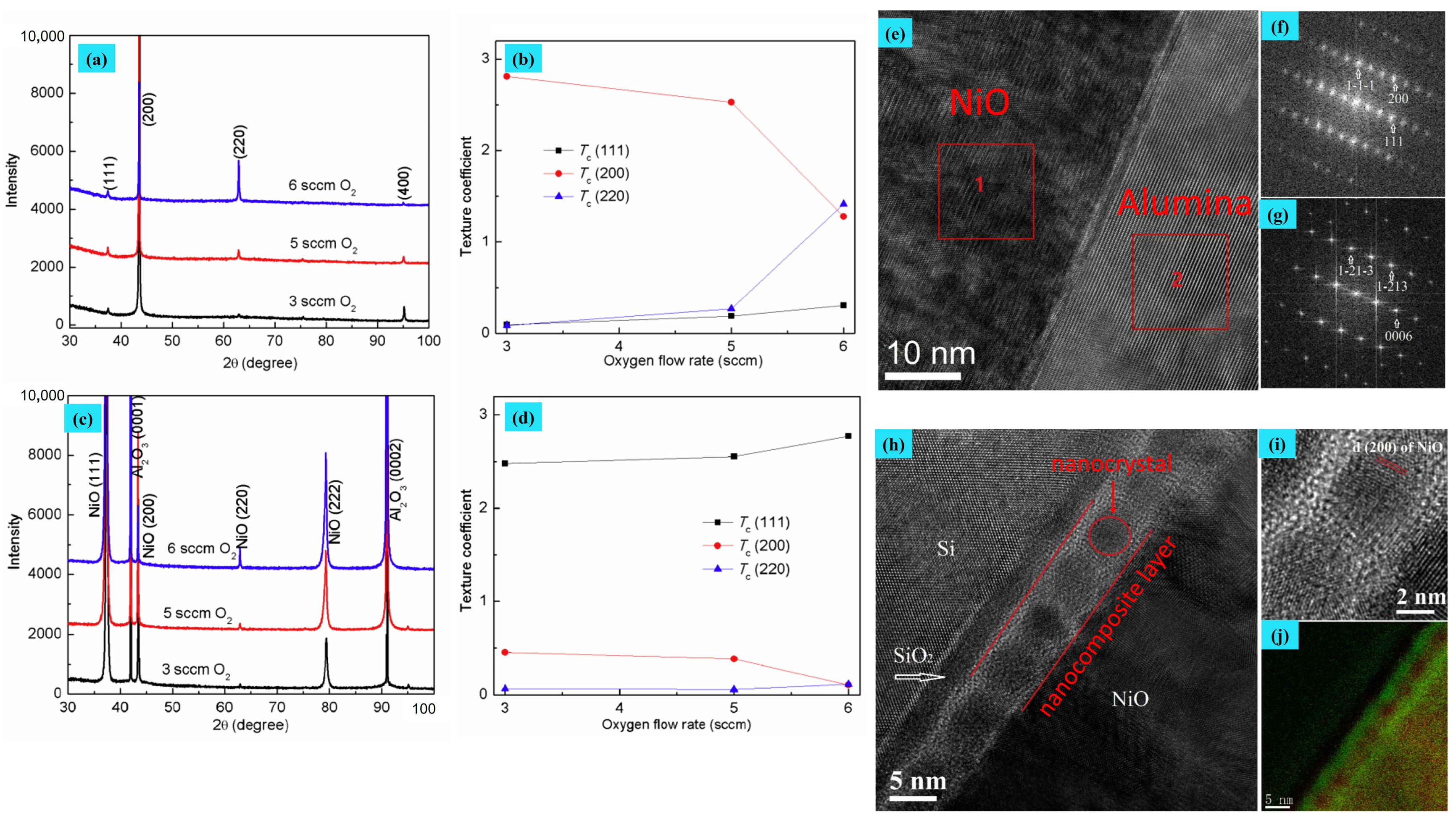Chemosensors 12 00045 g007