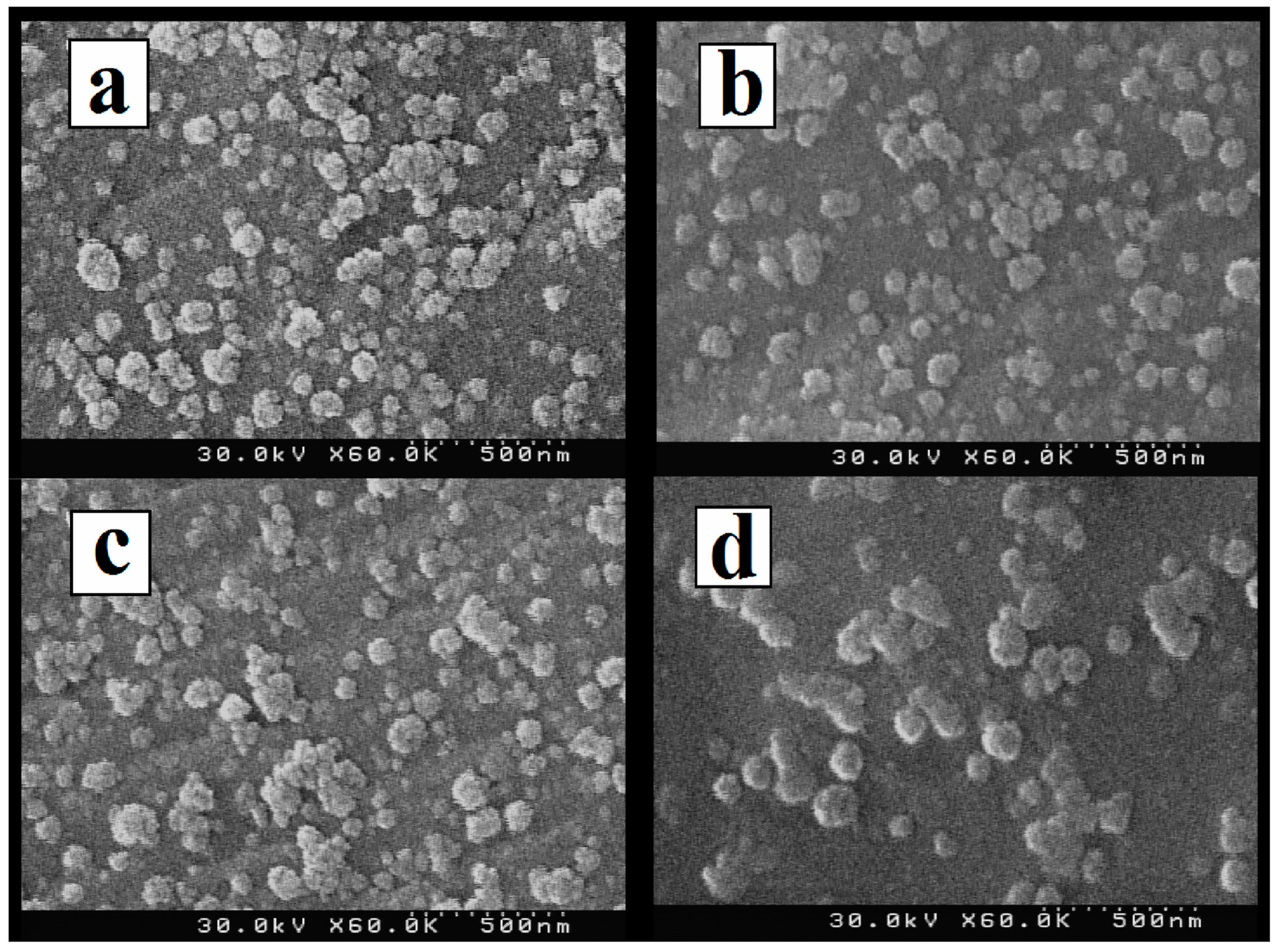 Chemosensors 12 00045 g010